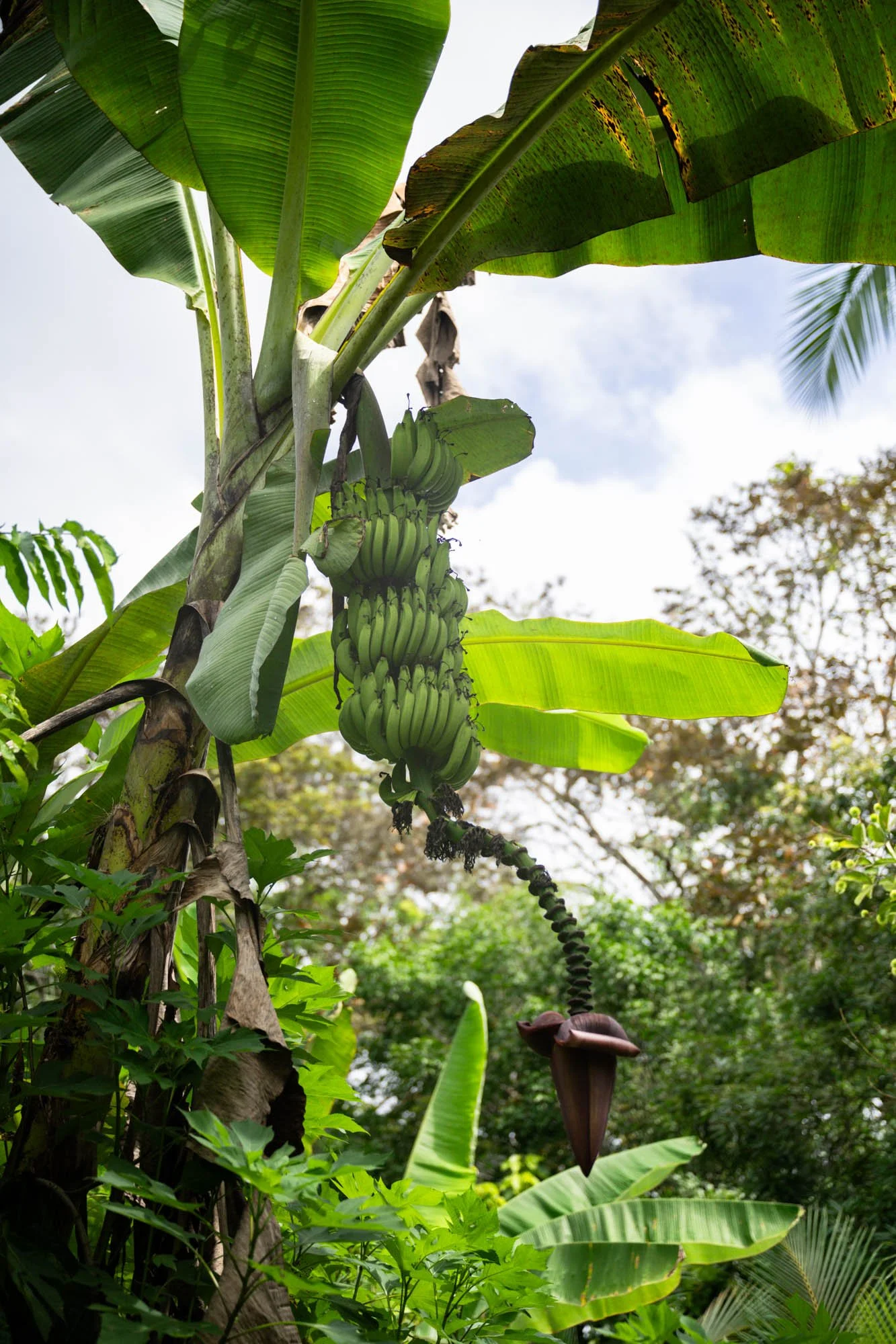 260501-CostaRica-345.jpg