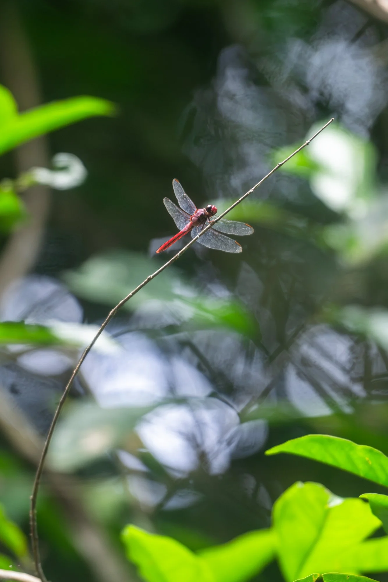 260501-CostaRica-1303.jpg