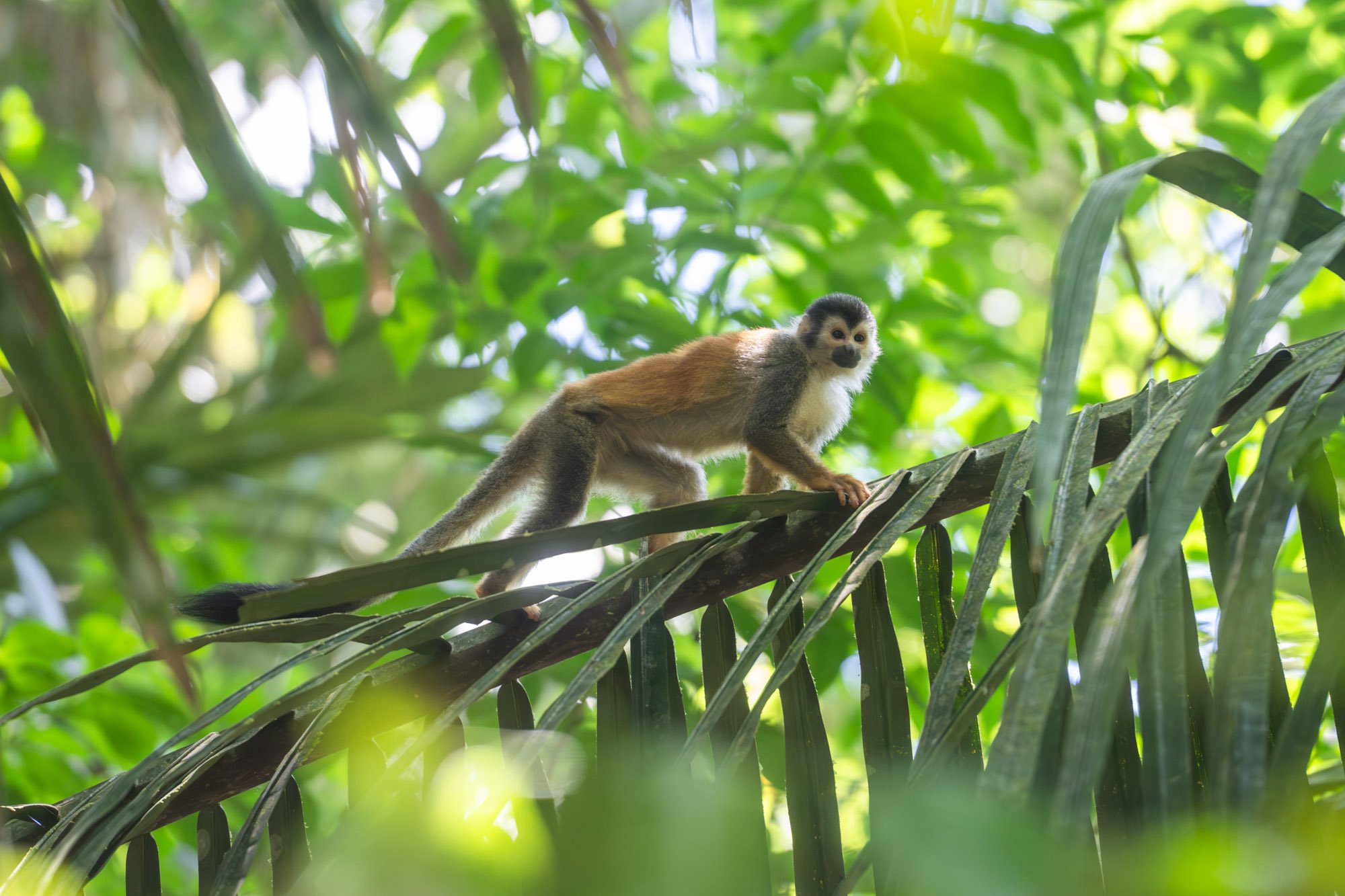 260501-CostaRica-1119.jpg