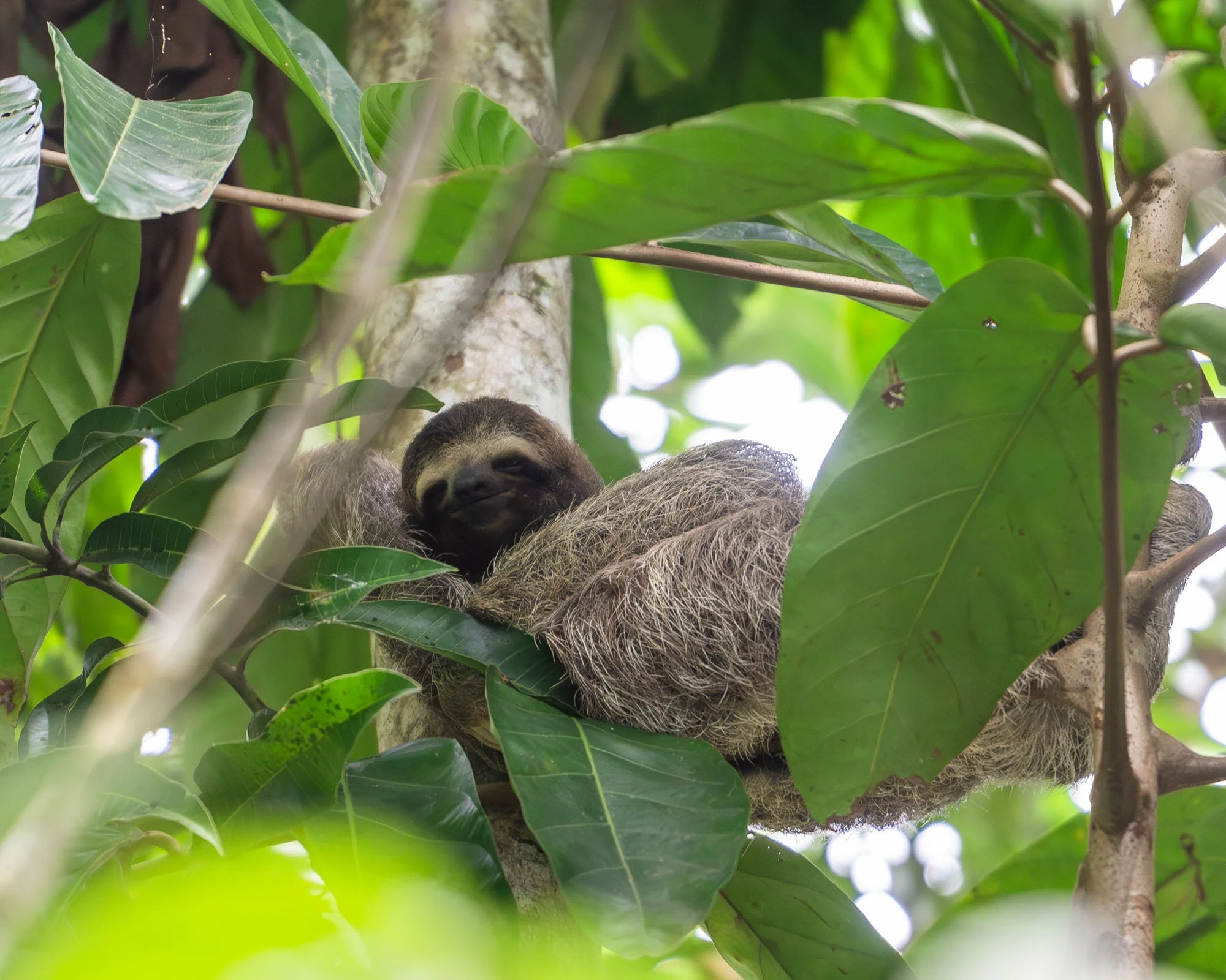 260501-CostaRica-495.jpg