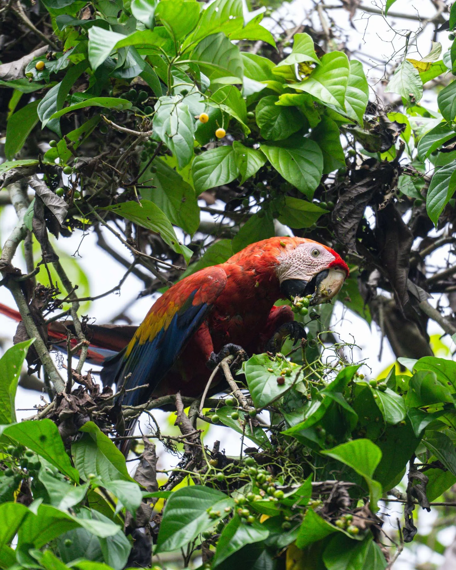 260501-CostaRica-604.jpg