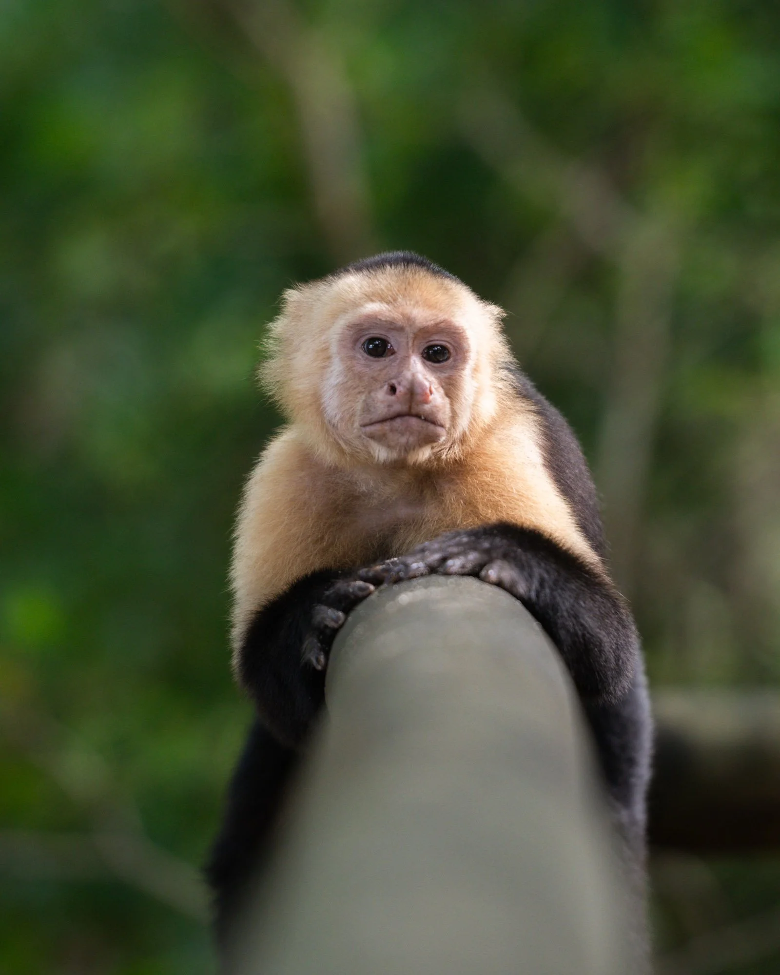 260501-CostaRica-1518.jpg