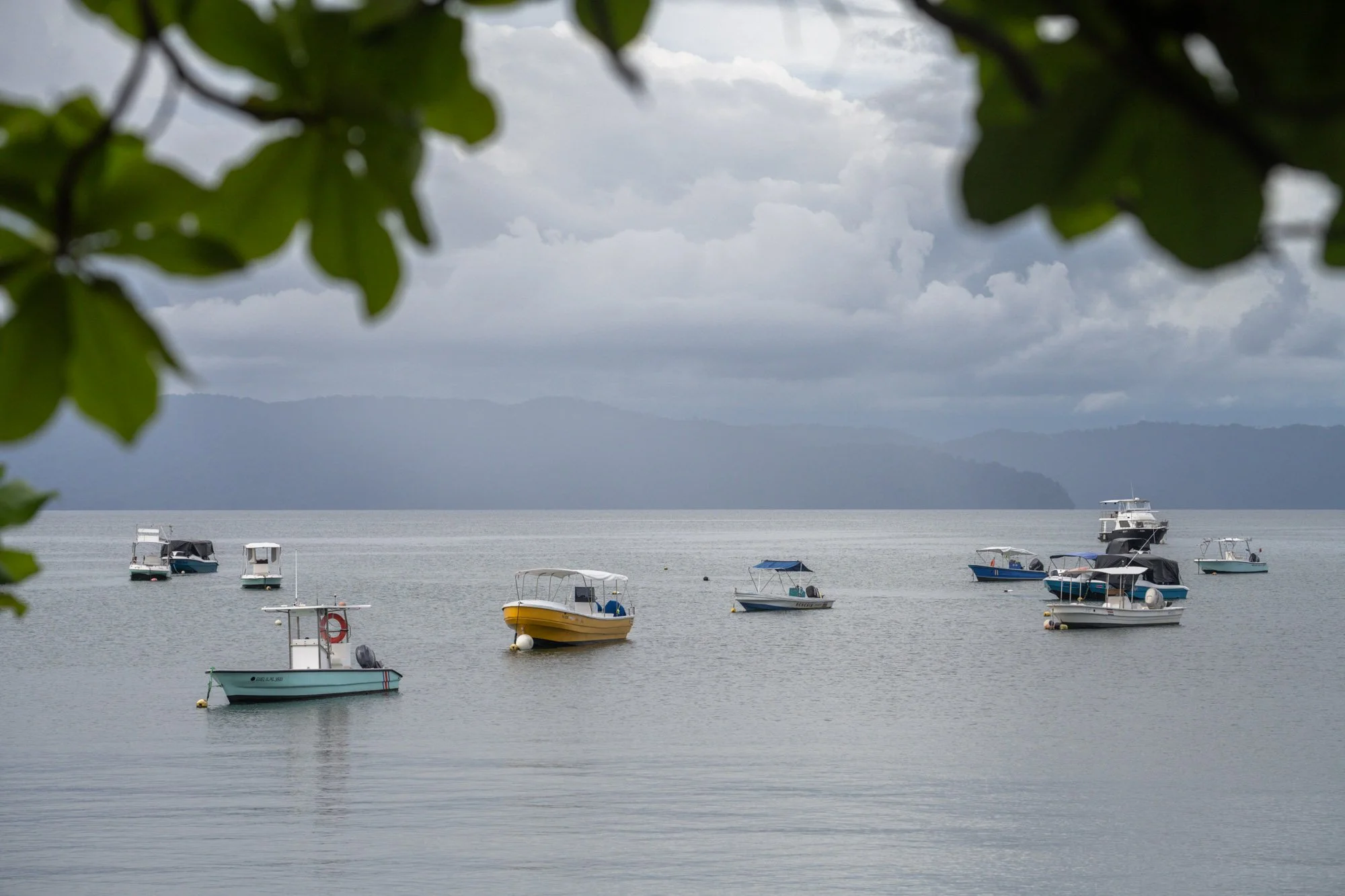 260501-CostaRica-665.jpg