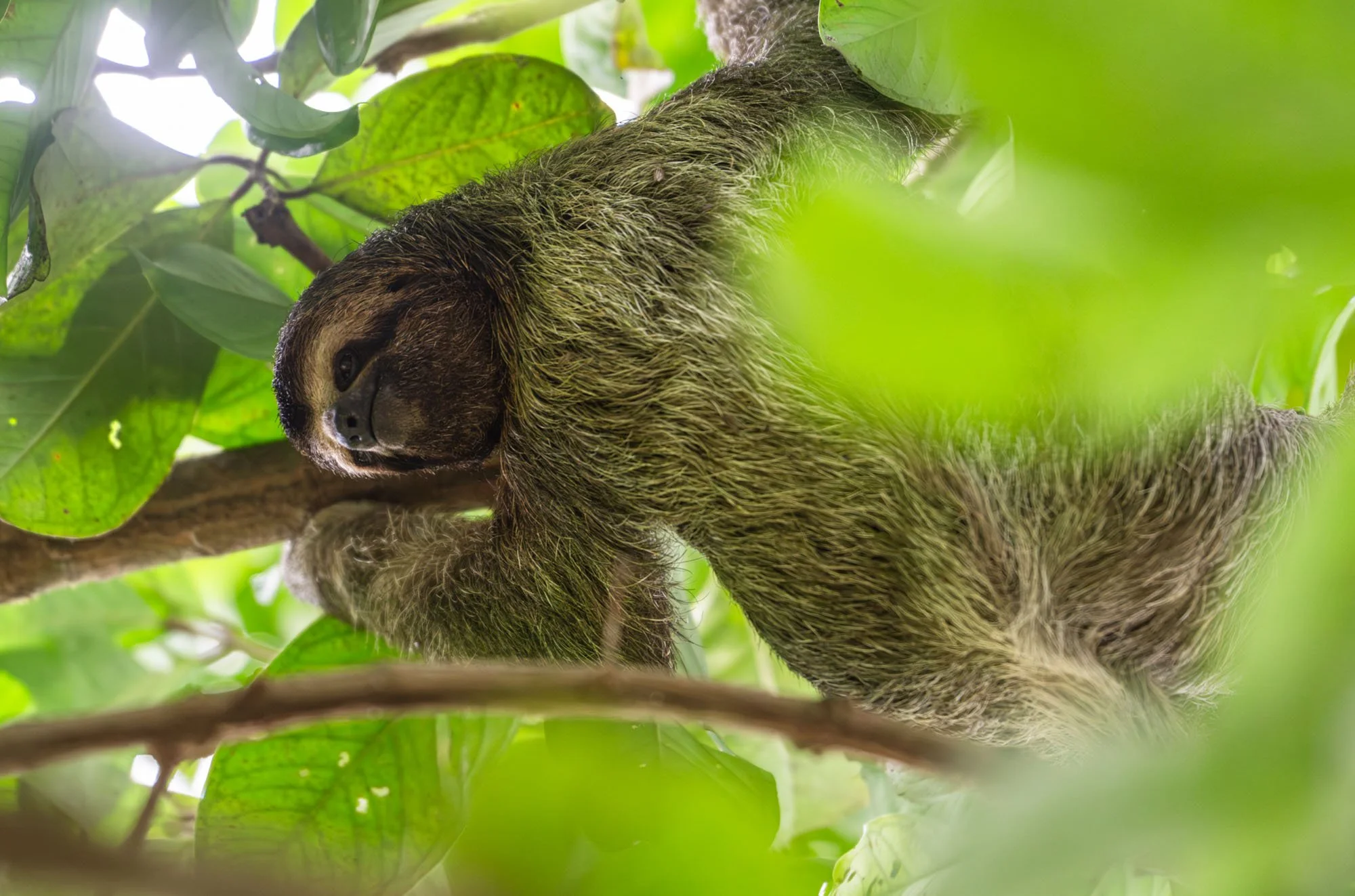 260501-CostaRica-564.jpg