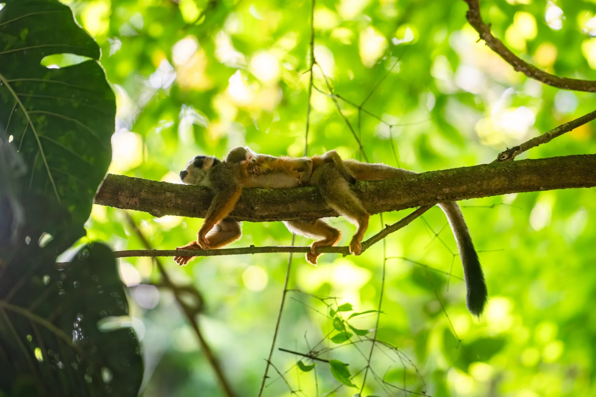 260501-CostaRica-1278.jpg