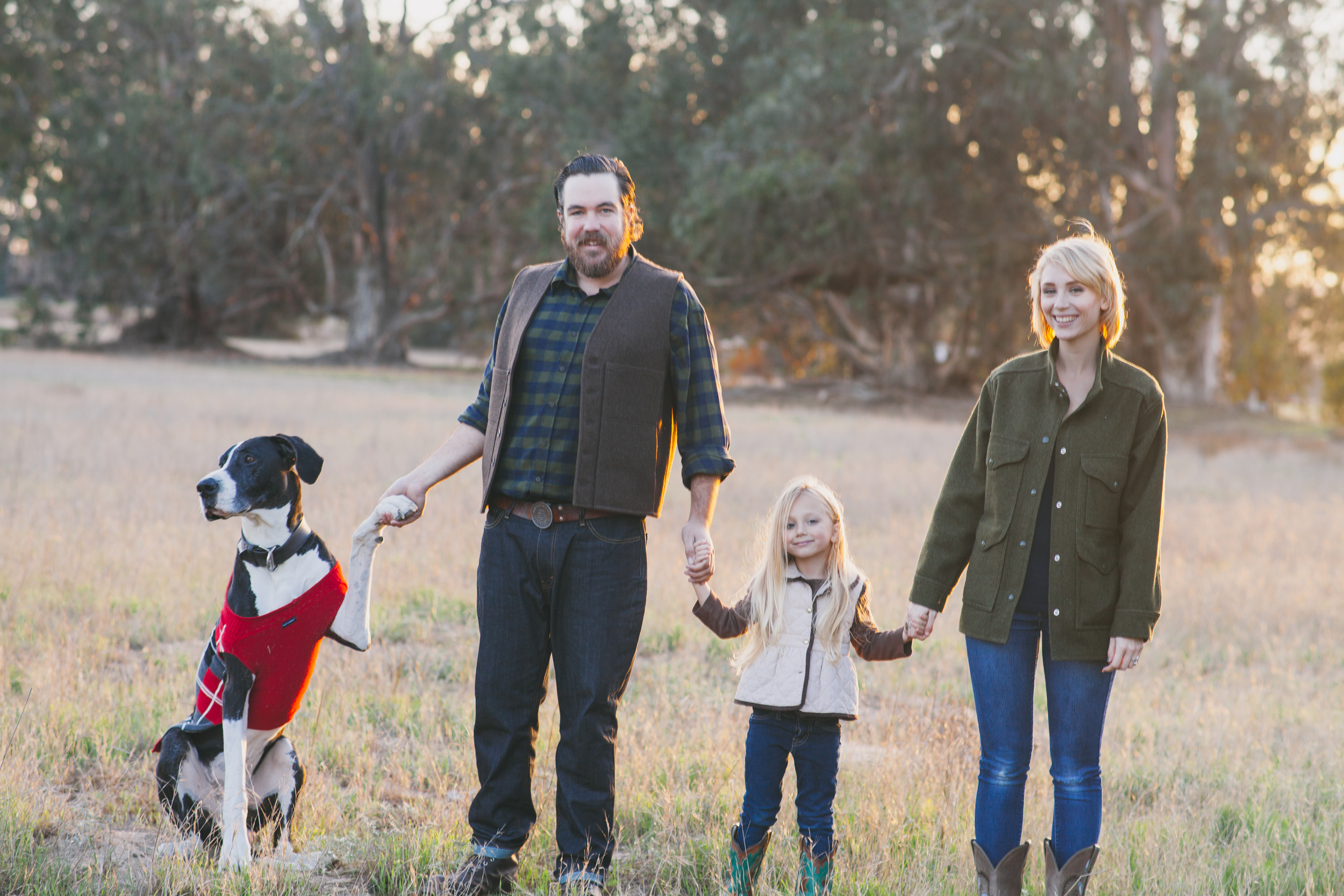 Love, Family & Great Danes in Sweaters