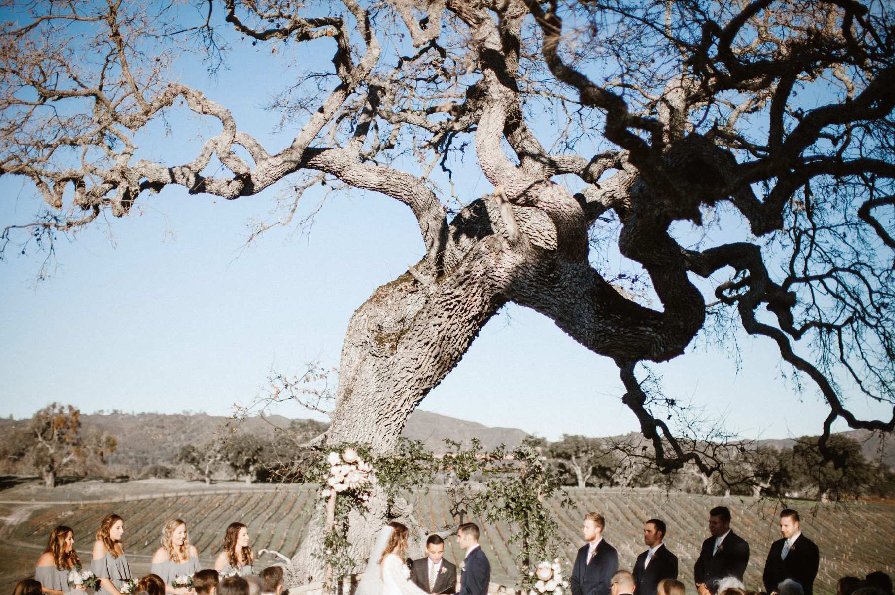 Screen Shot 2017-01-06 at 11.41.07 PM.png