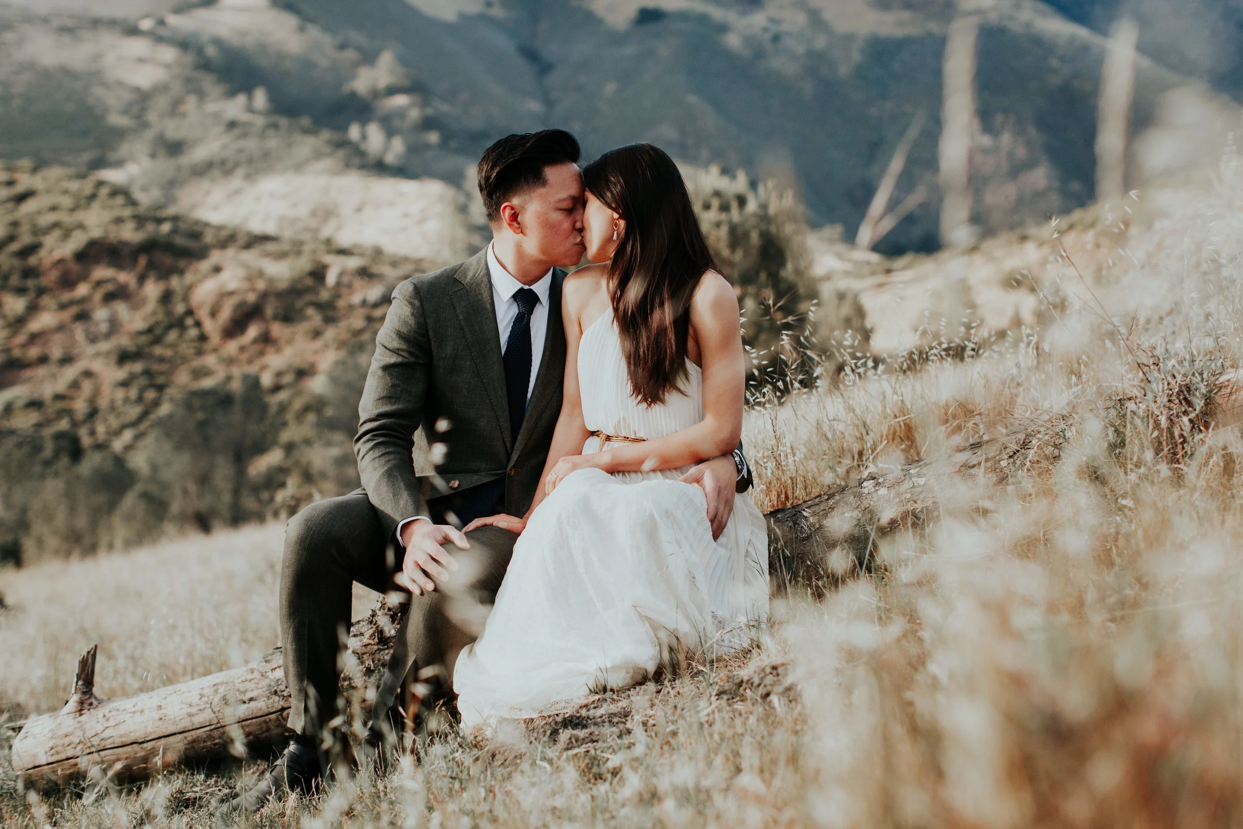 Figueroa Mountain engagement