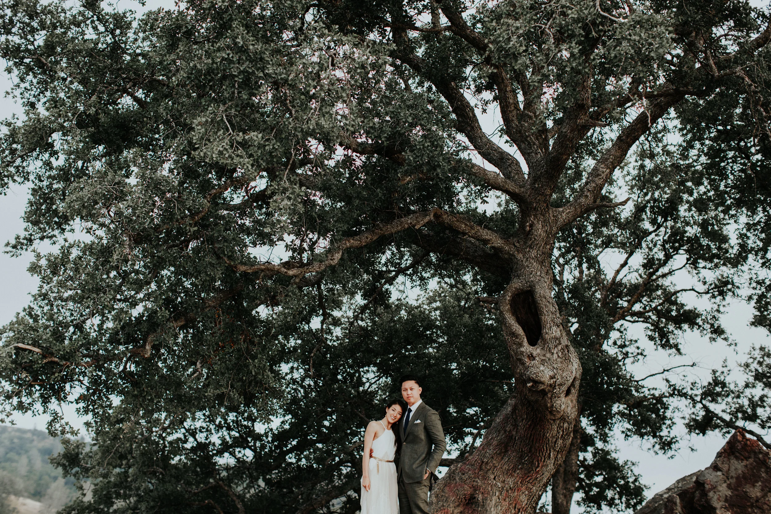 Figueroa Mountain engagement