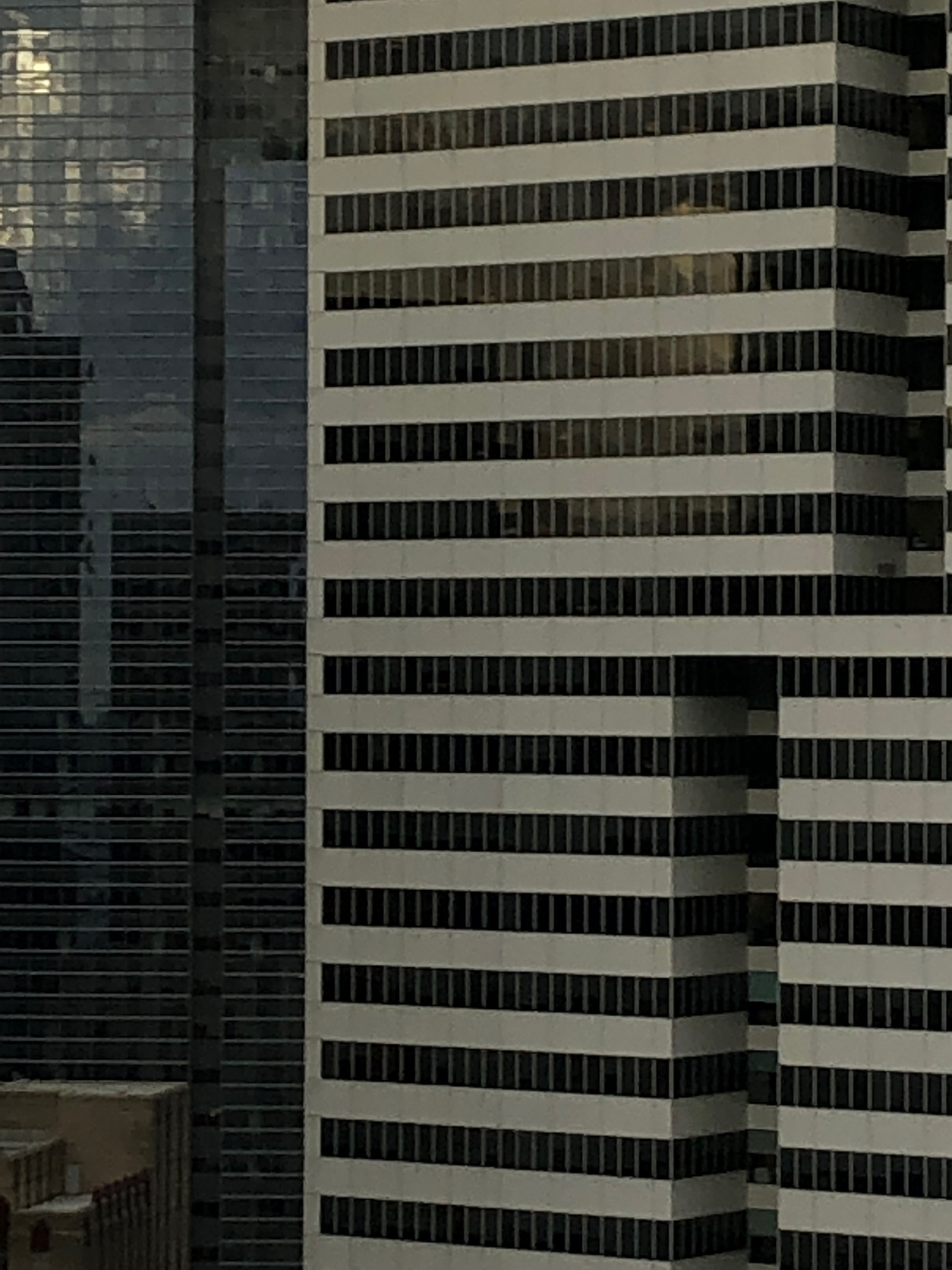 20190130-IMG_9768 1.png