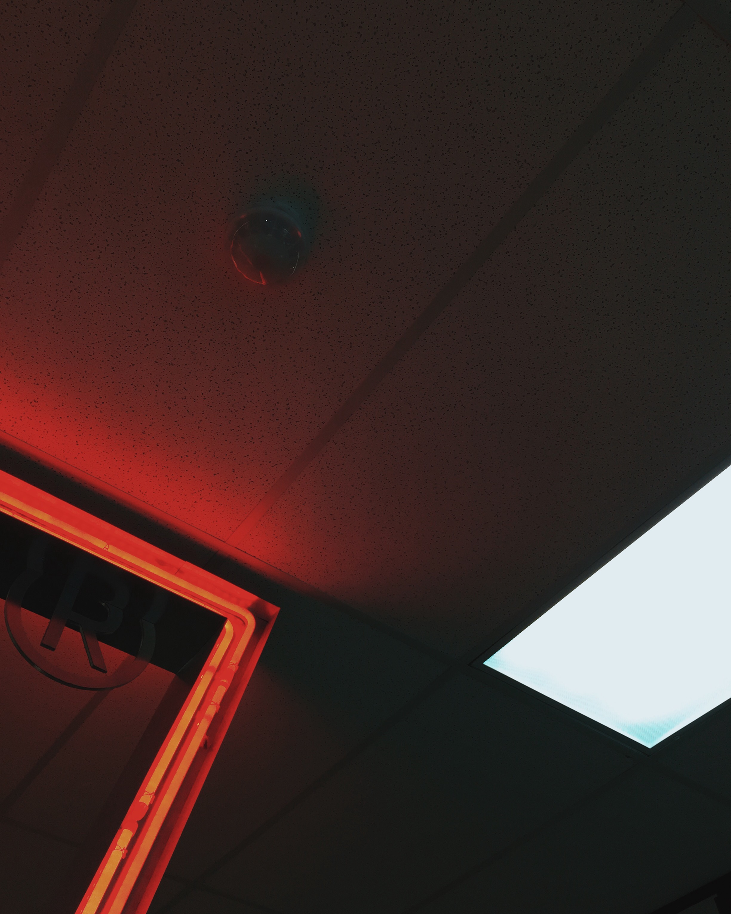 ECD8DFDE-A388-4081-A5E7-9C824F55929C 1.png