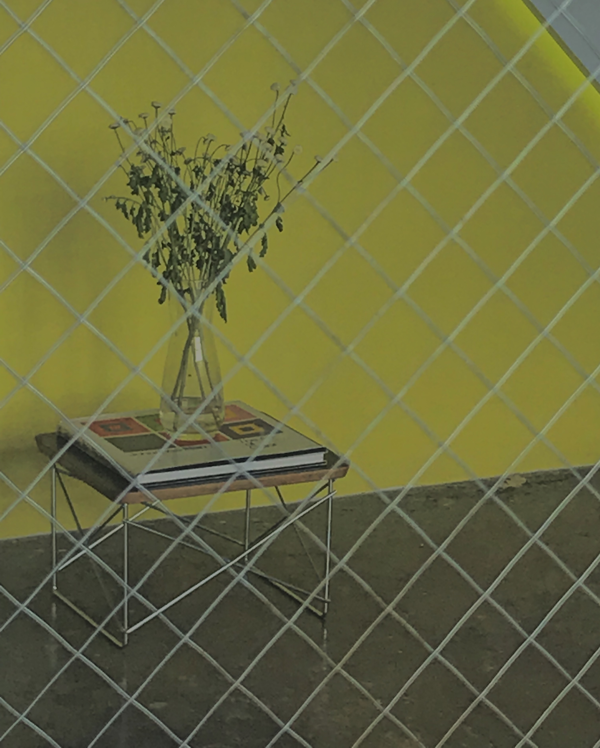 1D002358-065B-4648-99CC-995134FEA277 1.png