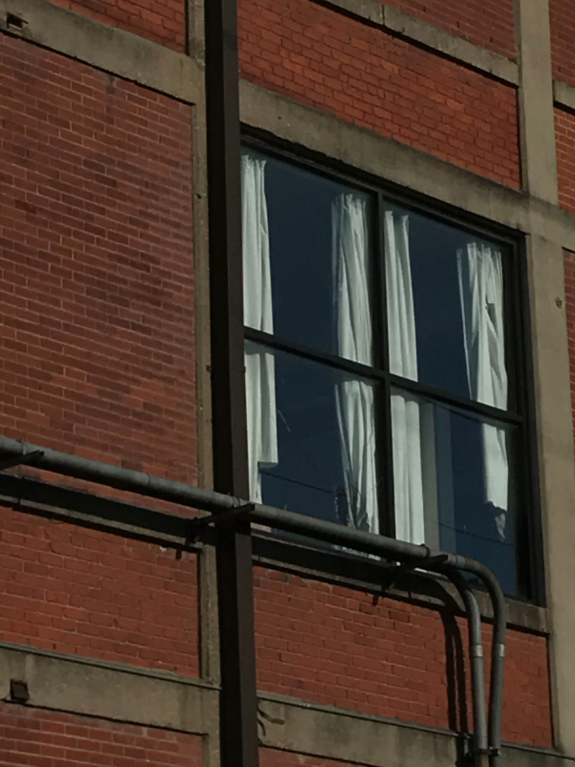 C80CB8B0-7ADB-42B1-B1EC-F0E69E7B39AB 1.png