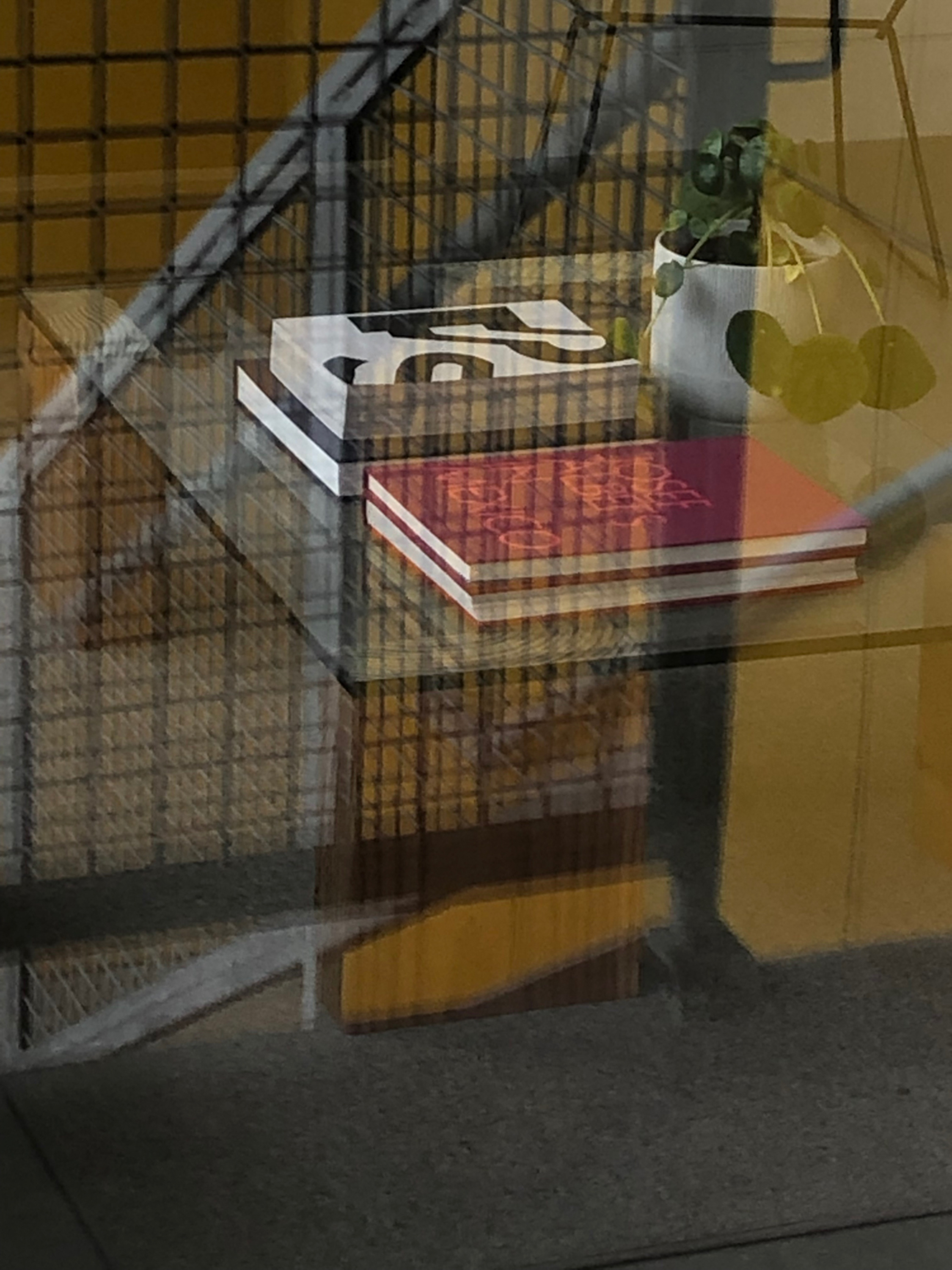 20181228-IMG_8173 1.png