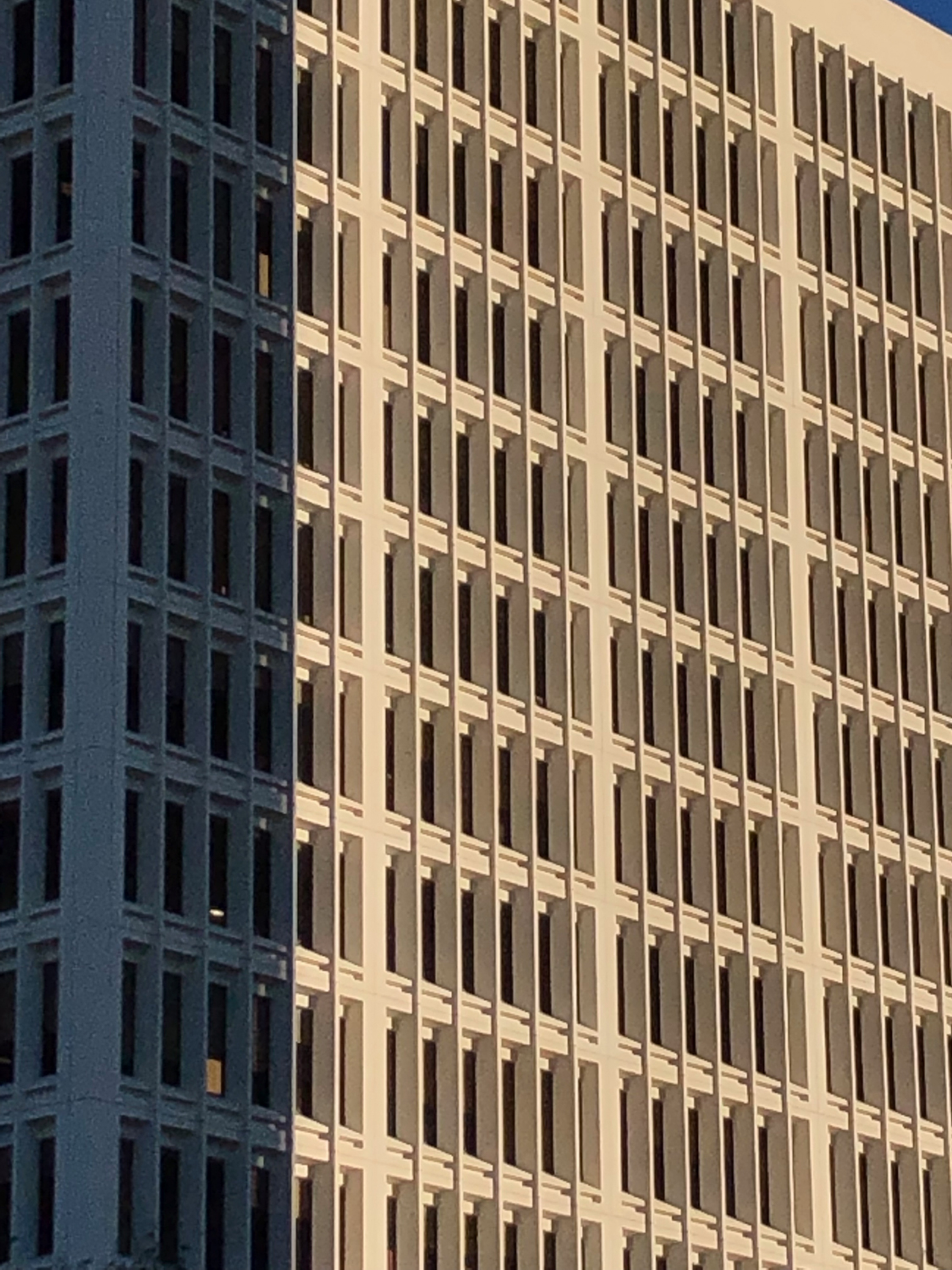 20190105-IMG_8632 1.png