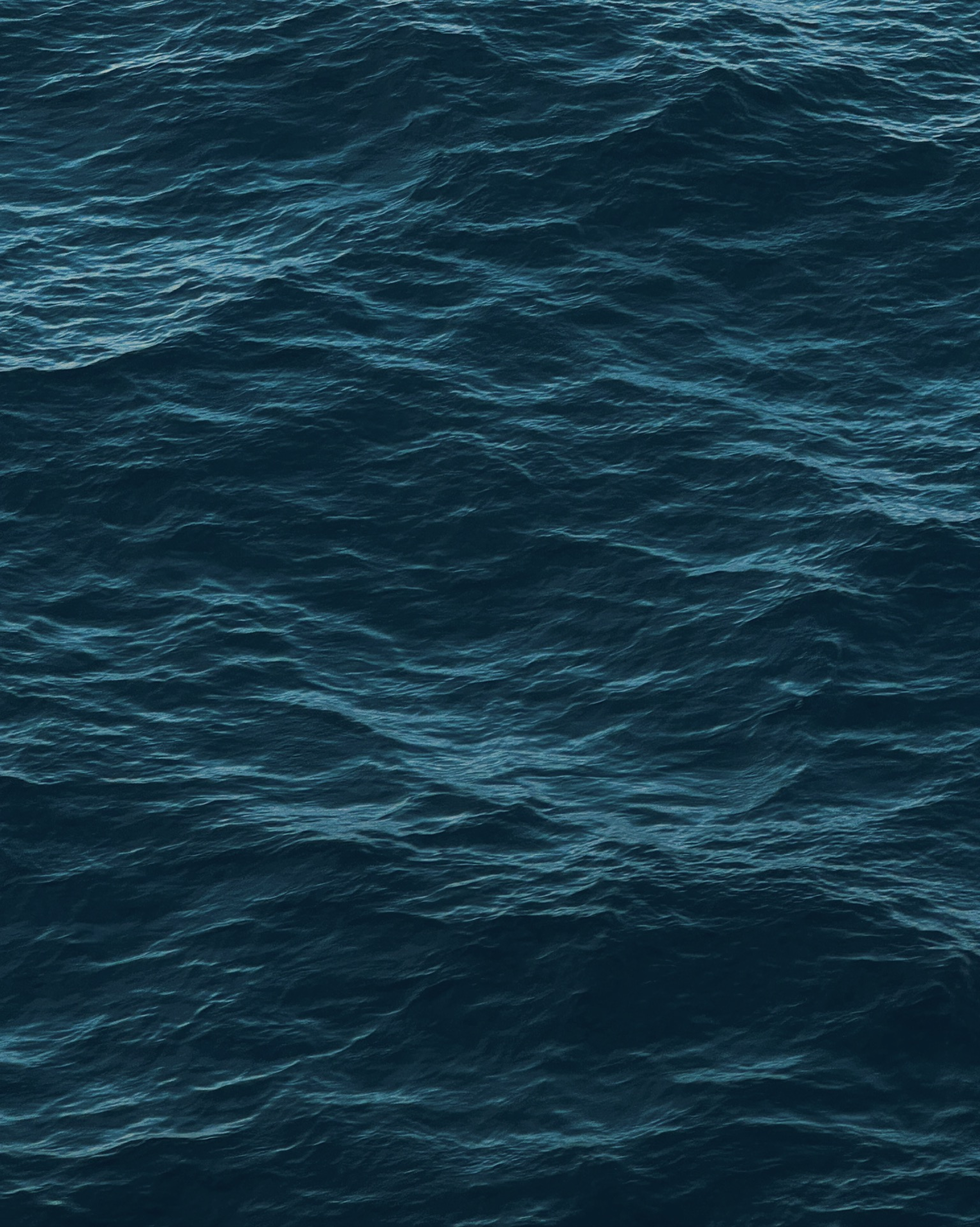 71CDE360-69A0-4E1B-8188-BCF4D7E85186 1.png