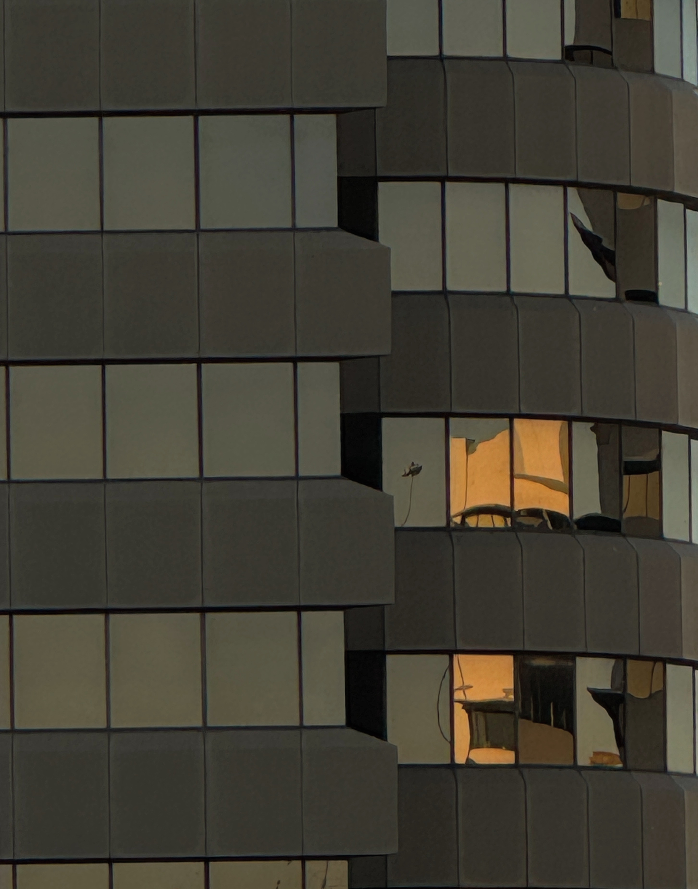 6280E6D9-581F-4B19-8C50-5D59FBF3D415 1.png