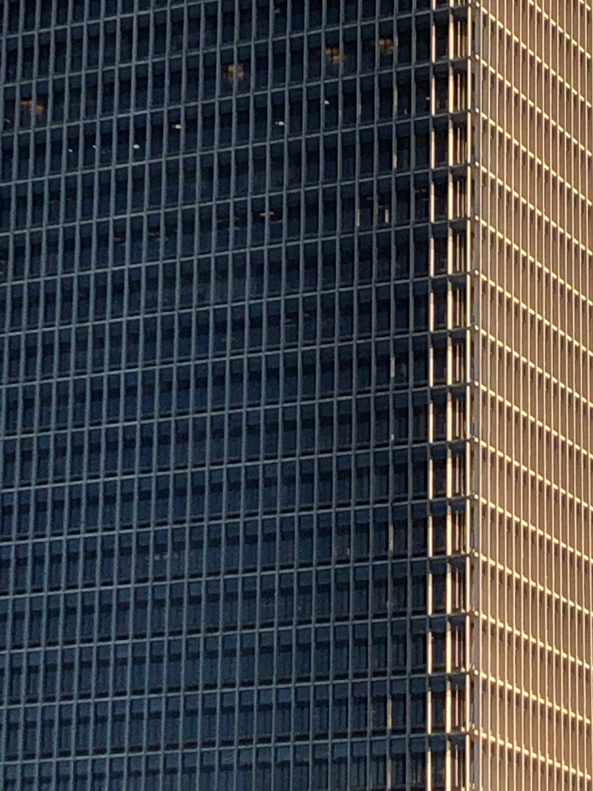 20190105-IMG_8639 1.png