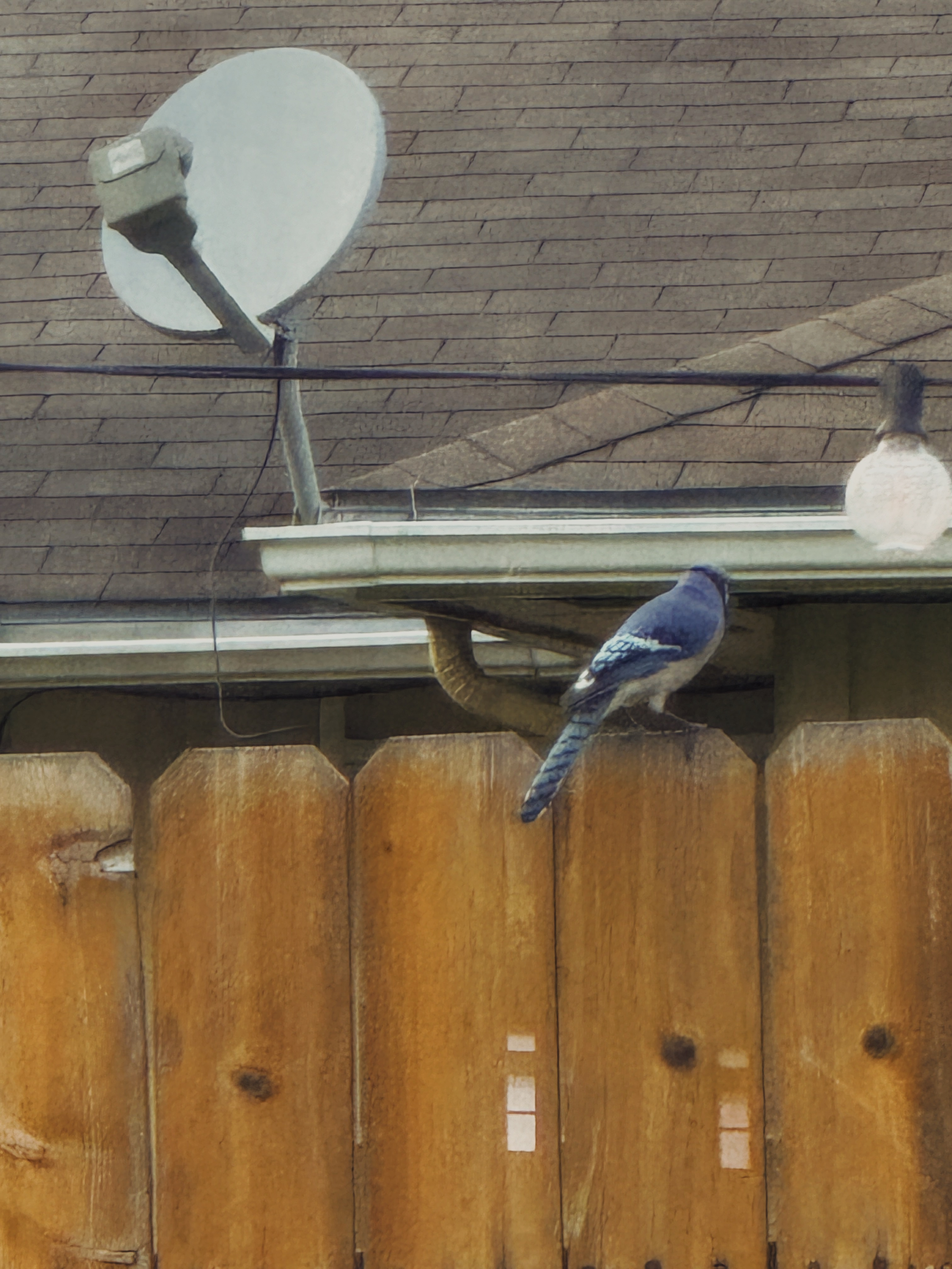 4519F0FD-4C0E-437F-9953-6DFA0260ABA3 1.png