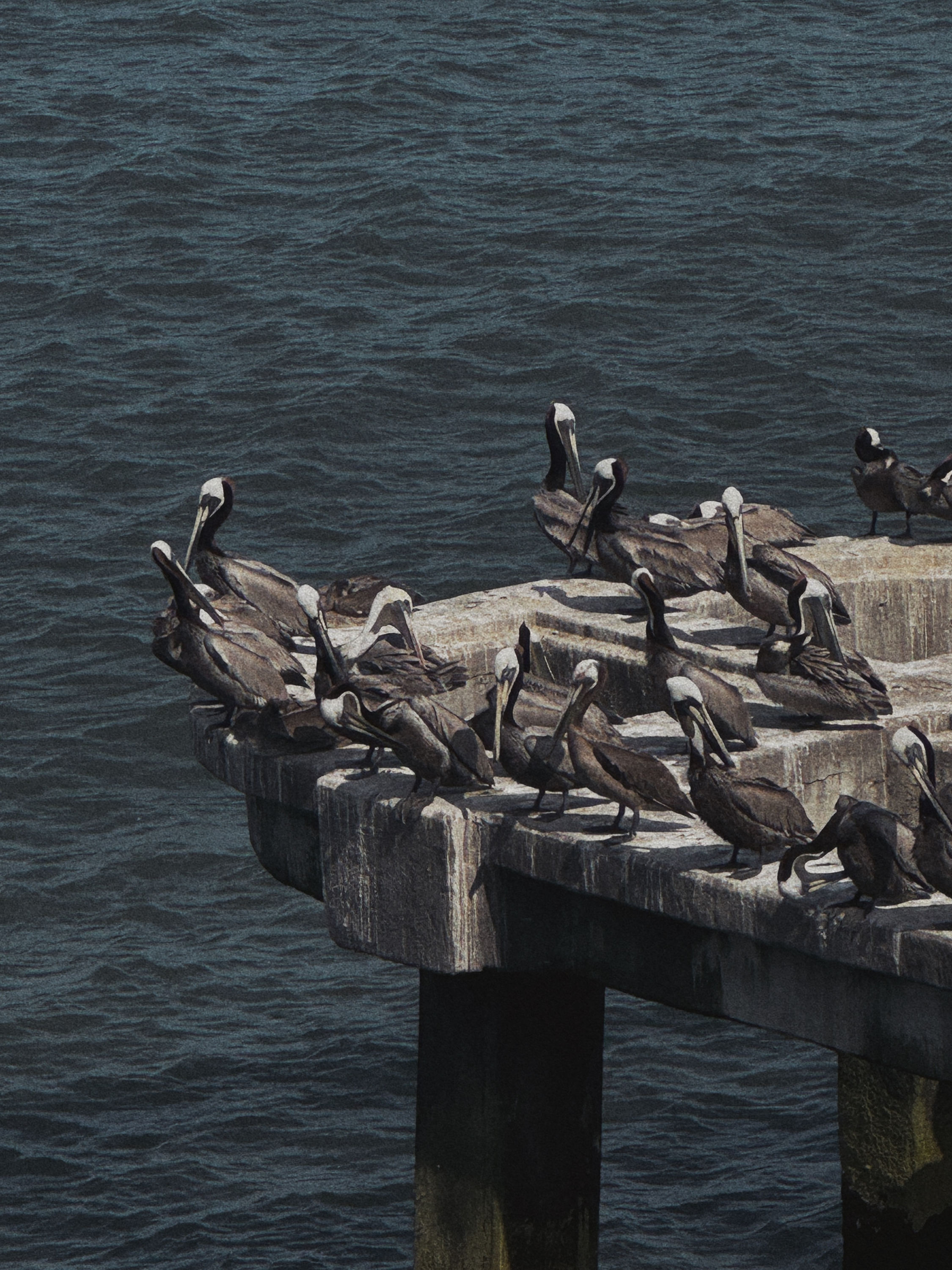 865EC312-BAF6-43E5-8BA9-6BE9298F830F 1.png