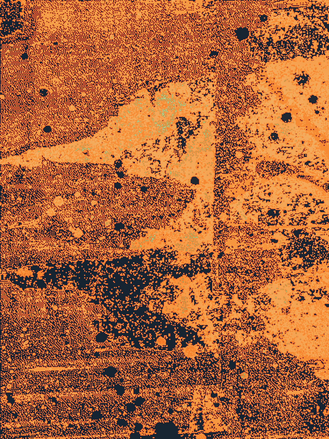 241220-Glitche-9 1.png