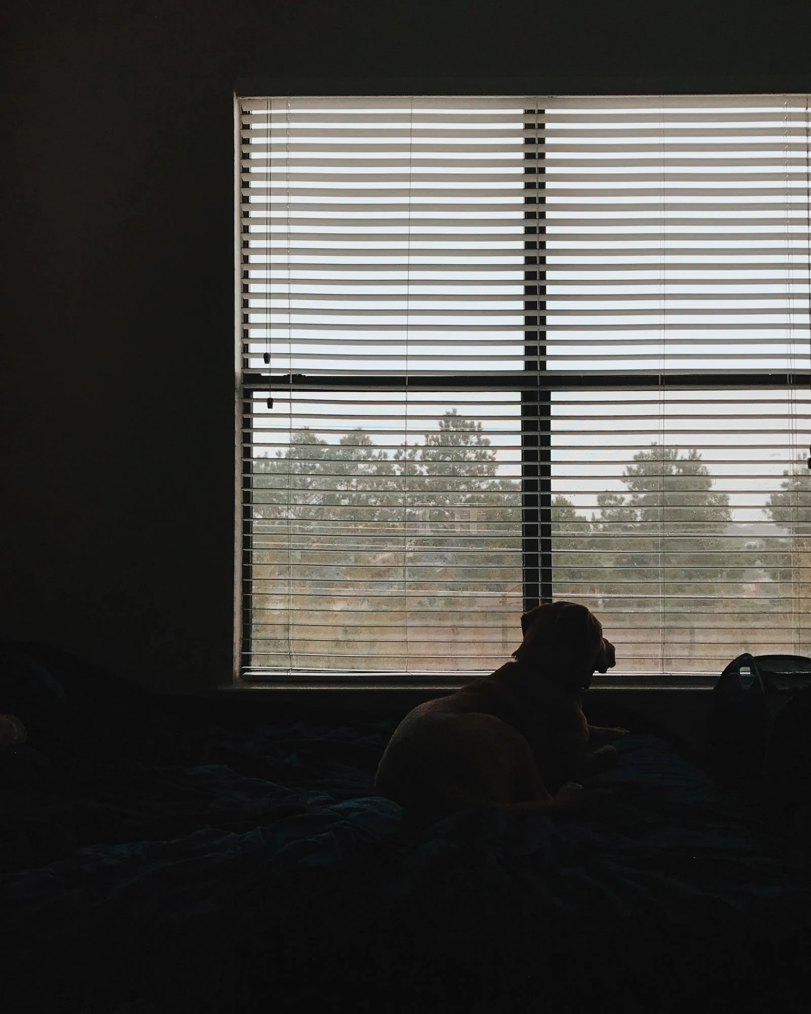 Photo Dec 02, 4 47 05 PM.jpg