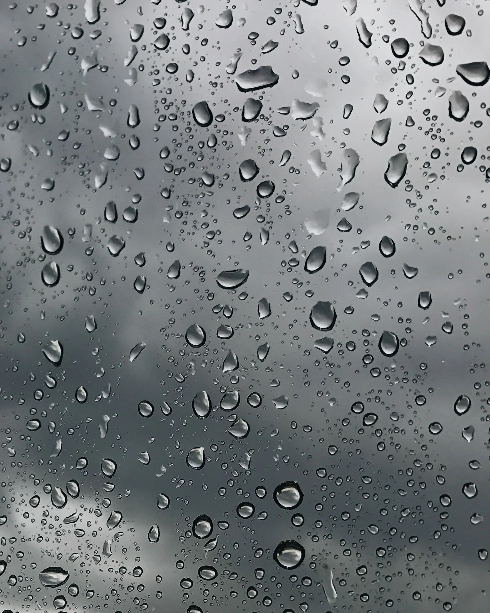 Photo Apr 11, 12 31 42 PM.jpg