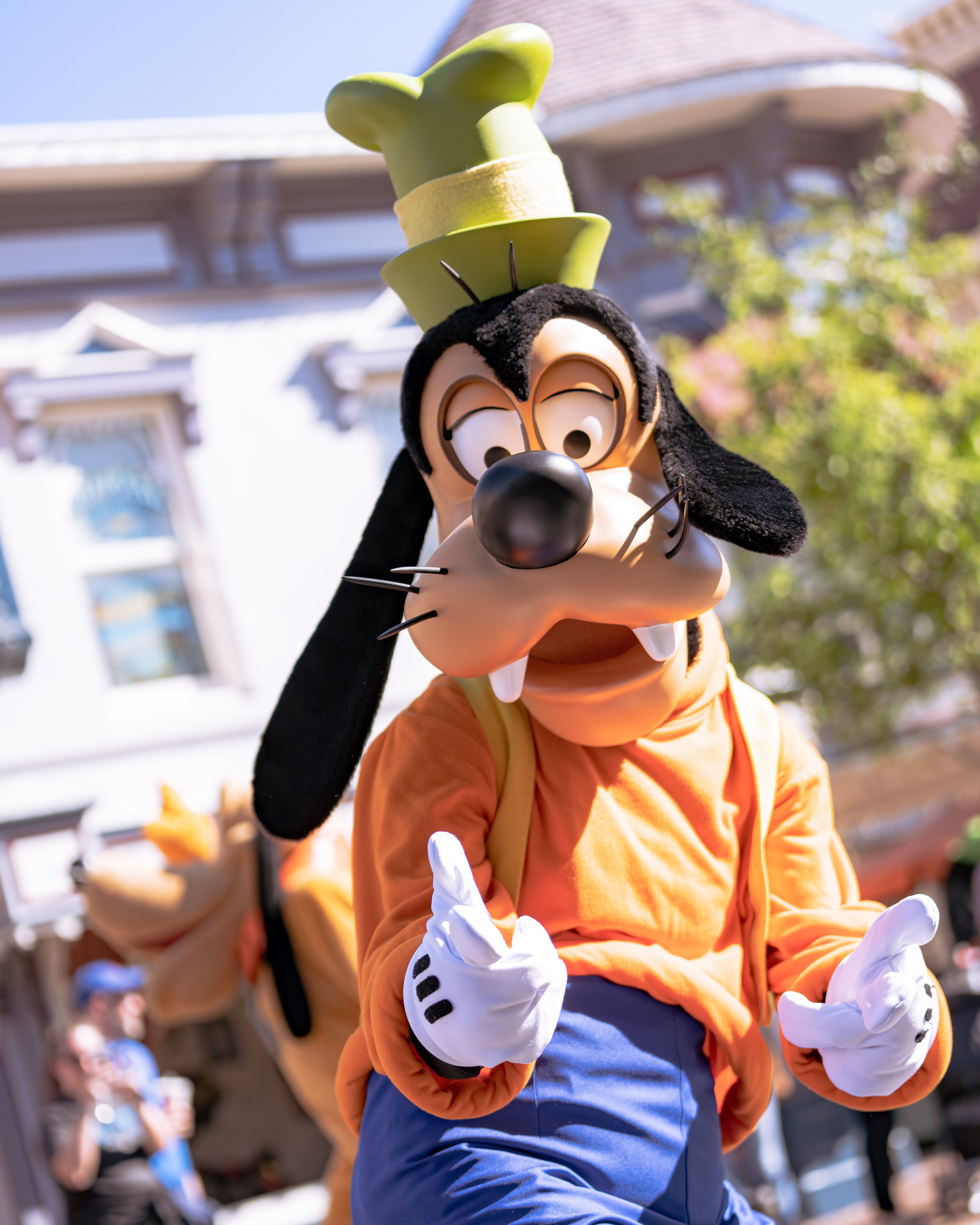 _MG_3539.jpg