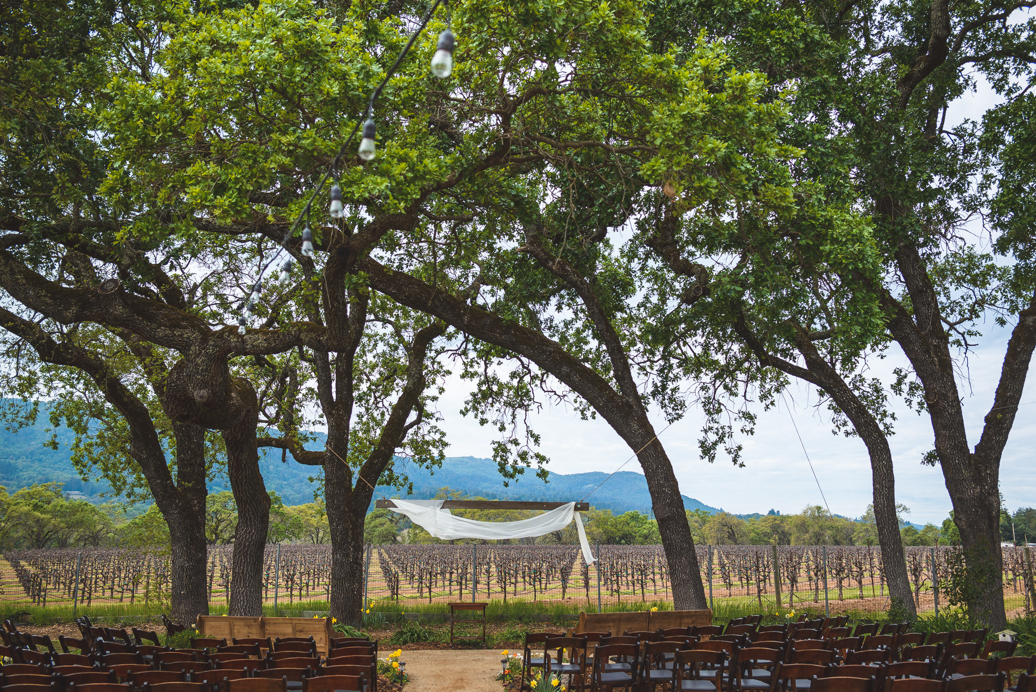 Sonoma_Backyard_Wedding-Chuck_Caroline-001.jpg