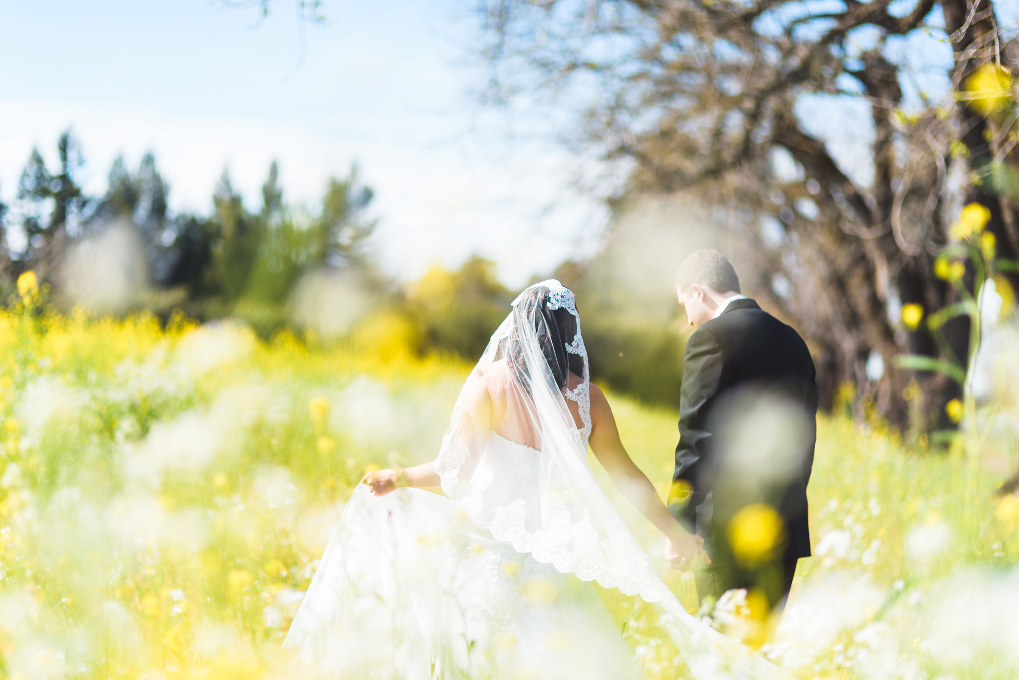 Sonoma_Backyard_Wedding-Chuck_Caroline-019.jpg