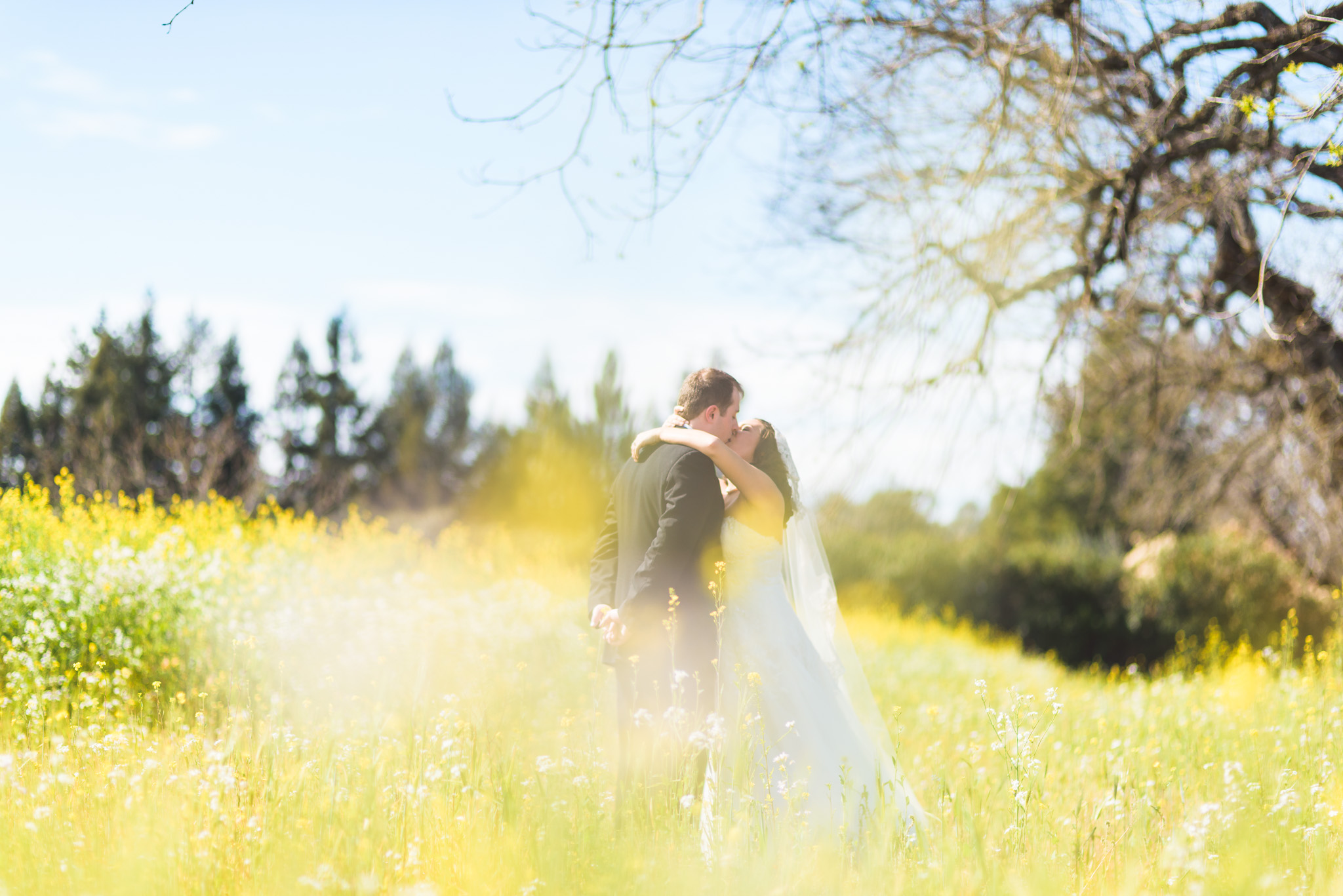 Sonoma_Backyard_Wedding-Chuck_Caroline-021.jpg