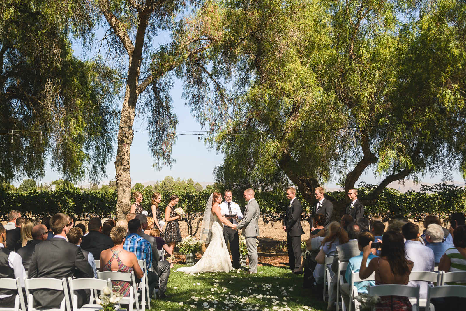 RETZLAFF VINEYARD WINERY WEDDING // ALEX + JIM // LIVERMORE WEDDING PHOTOGRAPHERS