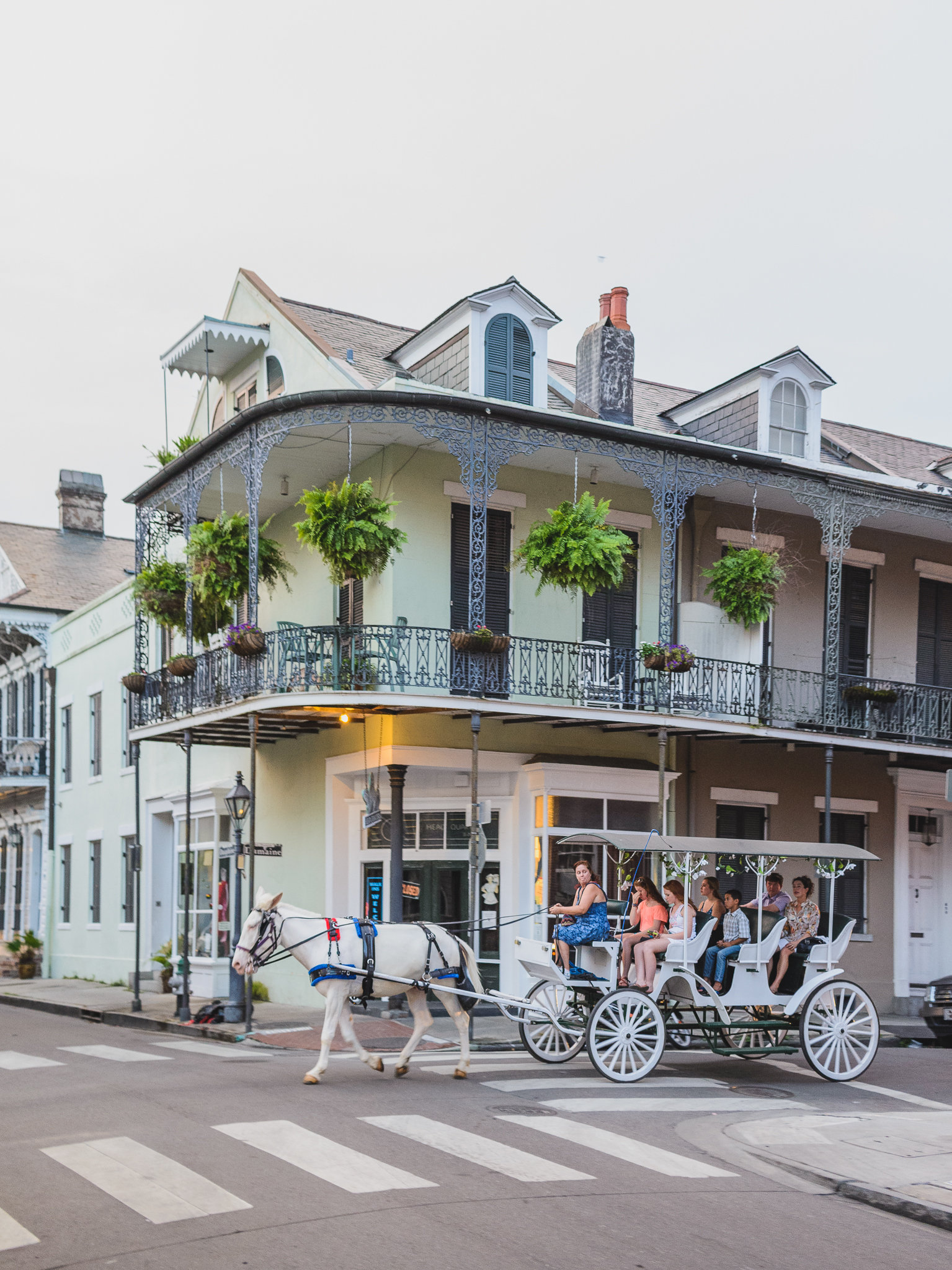 Whale Bicyclist in New Orleans