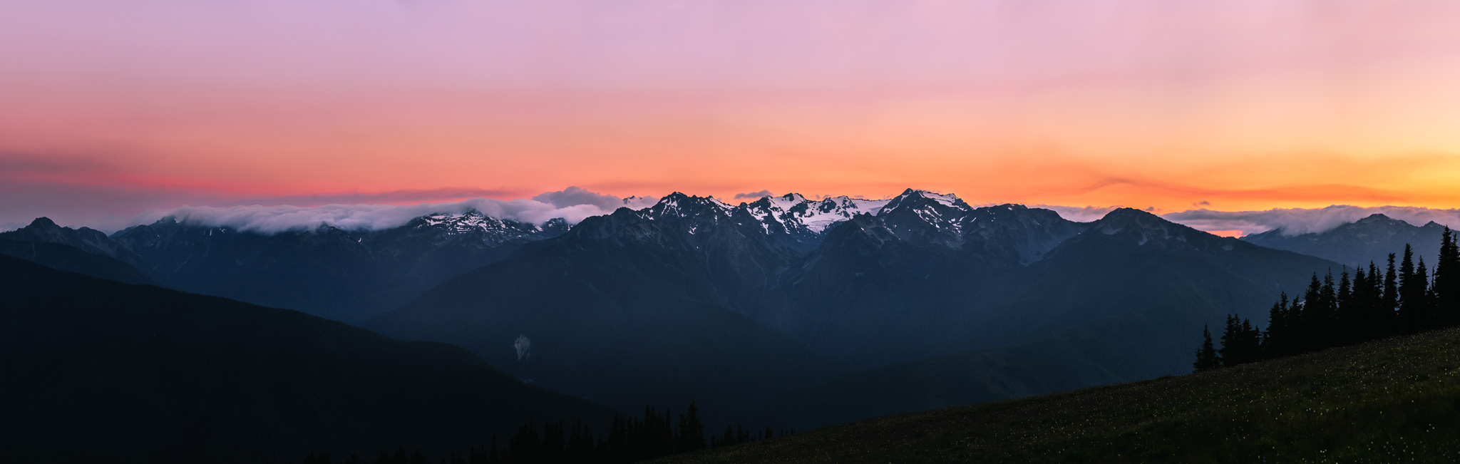 PacificNW2015-011.jpg