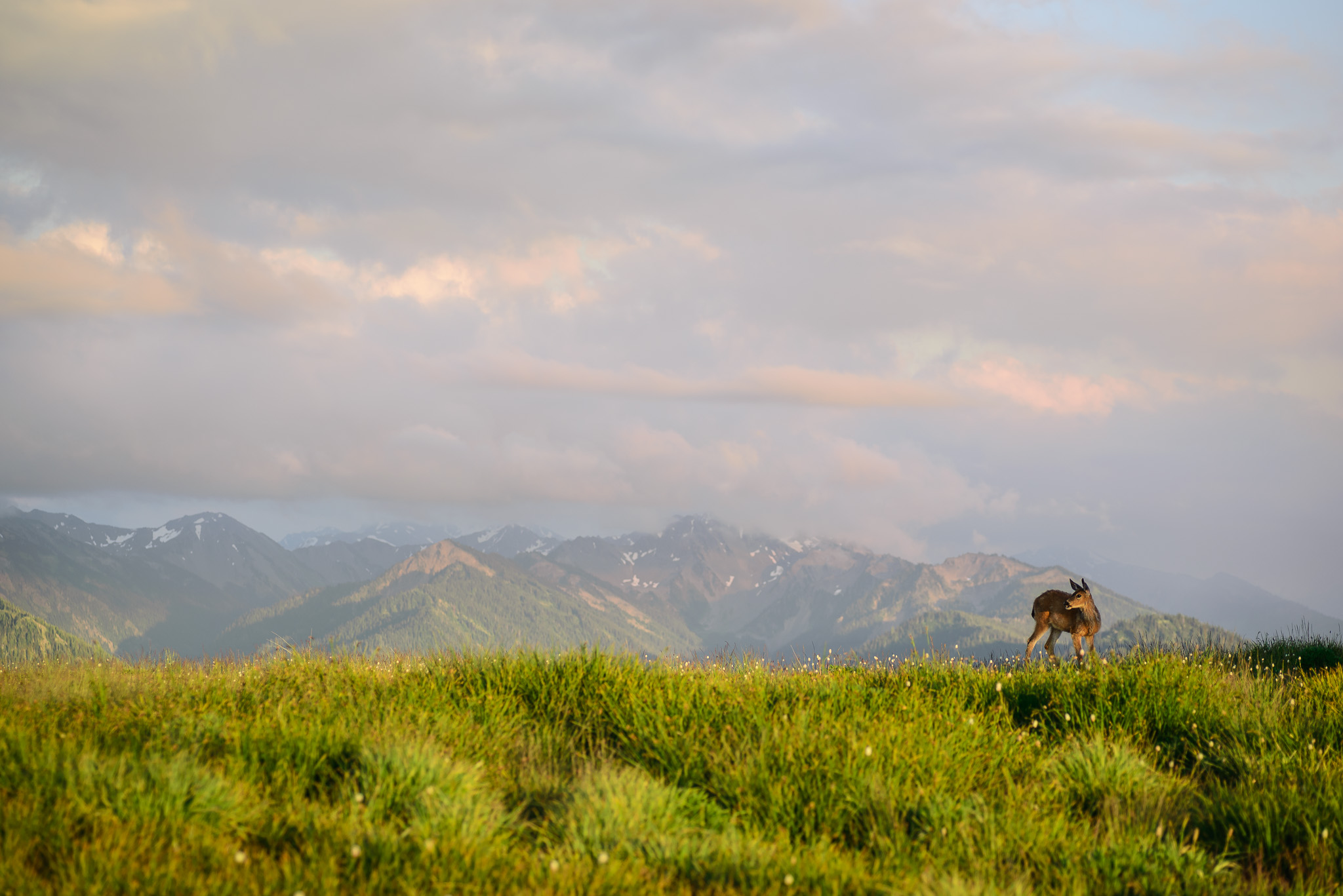 PacificNW2015-010.jpg