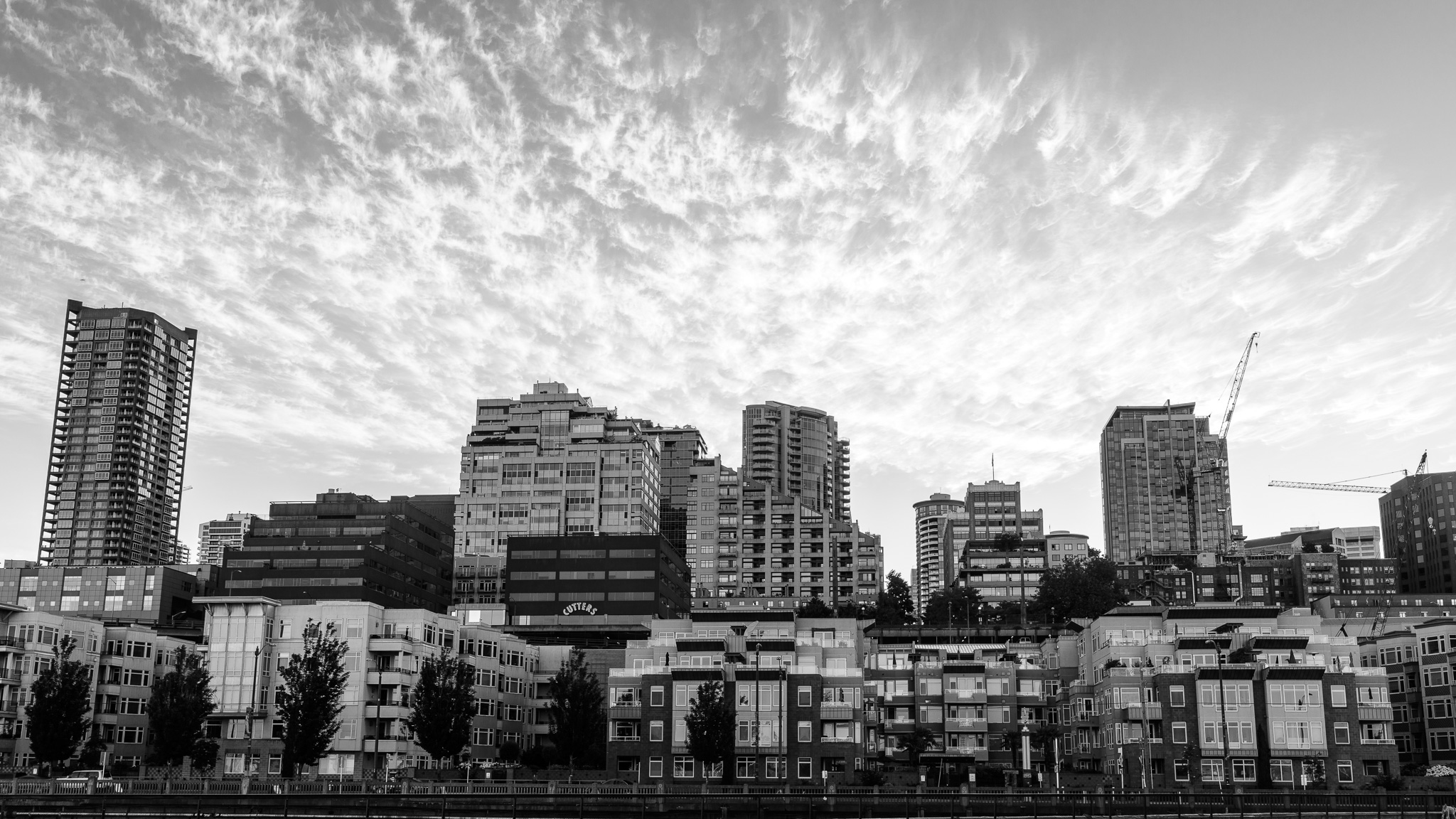 PacificNW2015-031.jpg