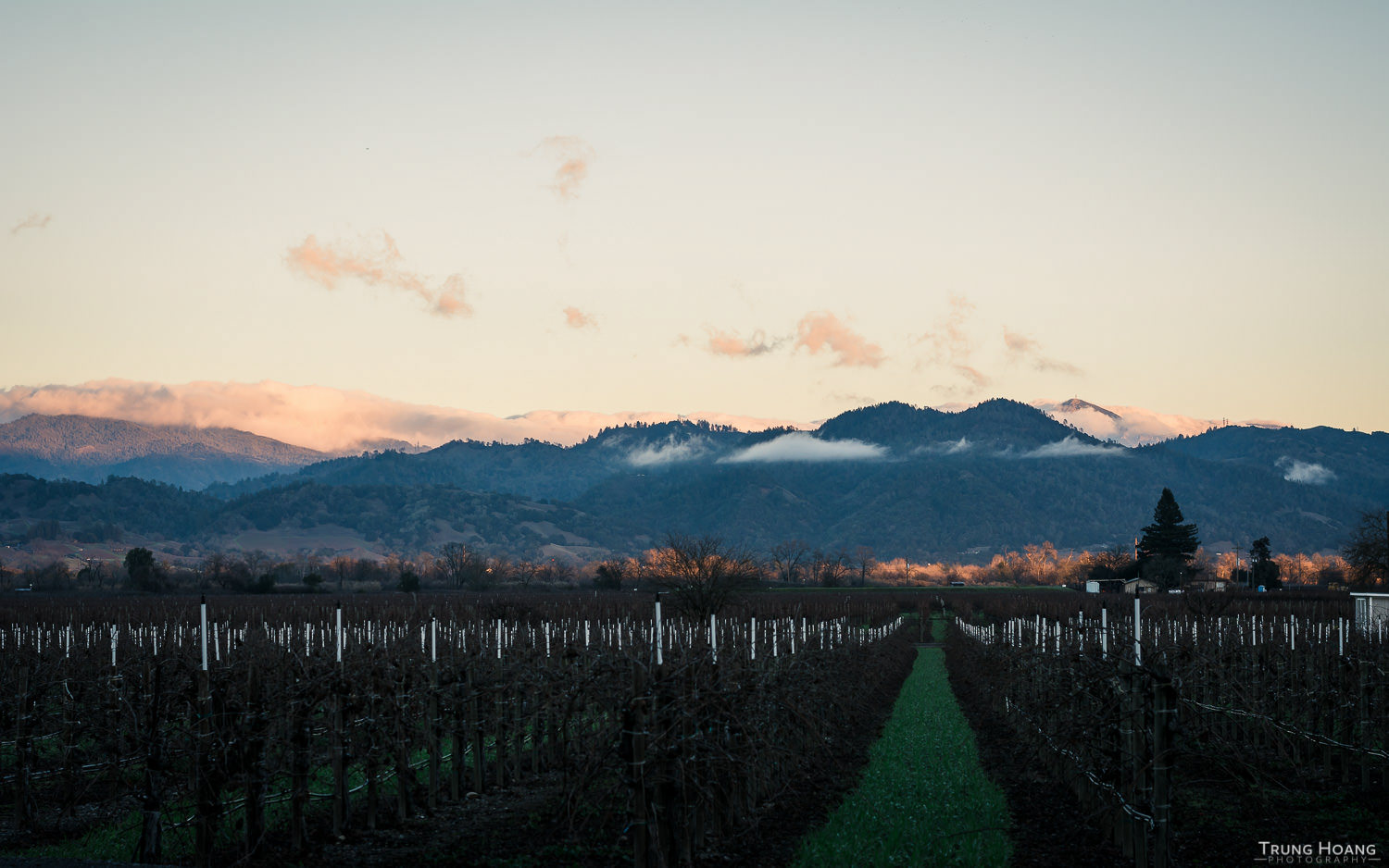 Winter Winery Wedding at Trentadue