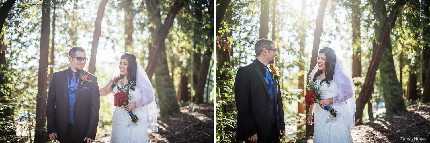 Amphitheatre of the Redwoods Wedding Photography