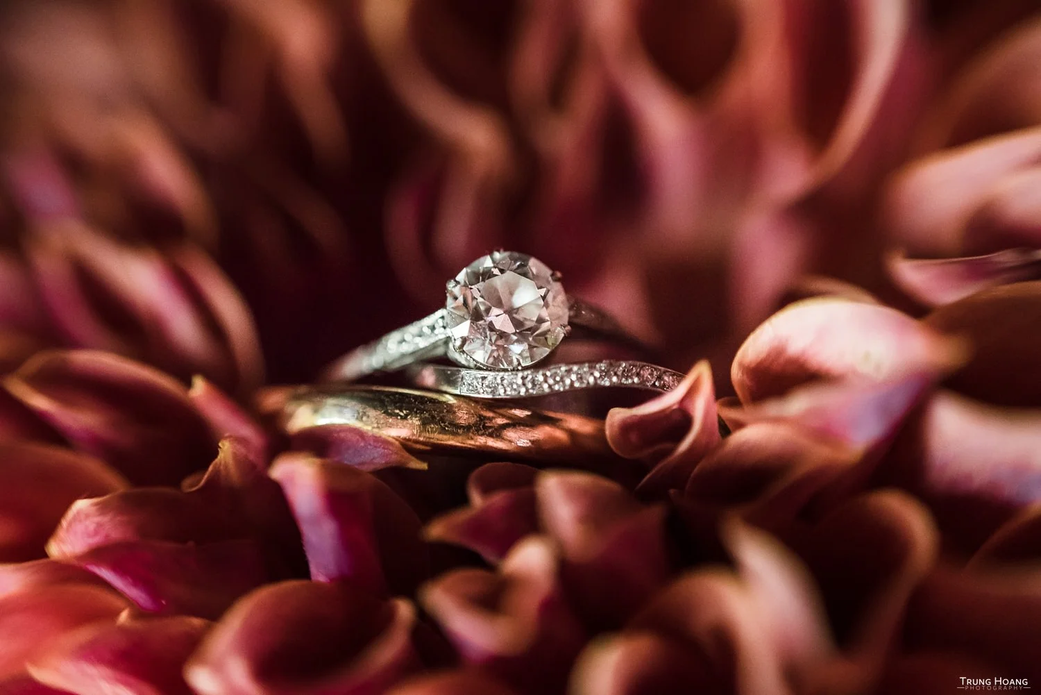Photo by Trung Hoang Photography (www.trunghoangphotography.com)