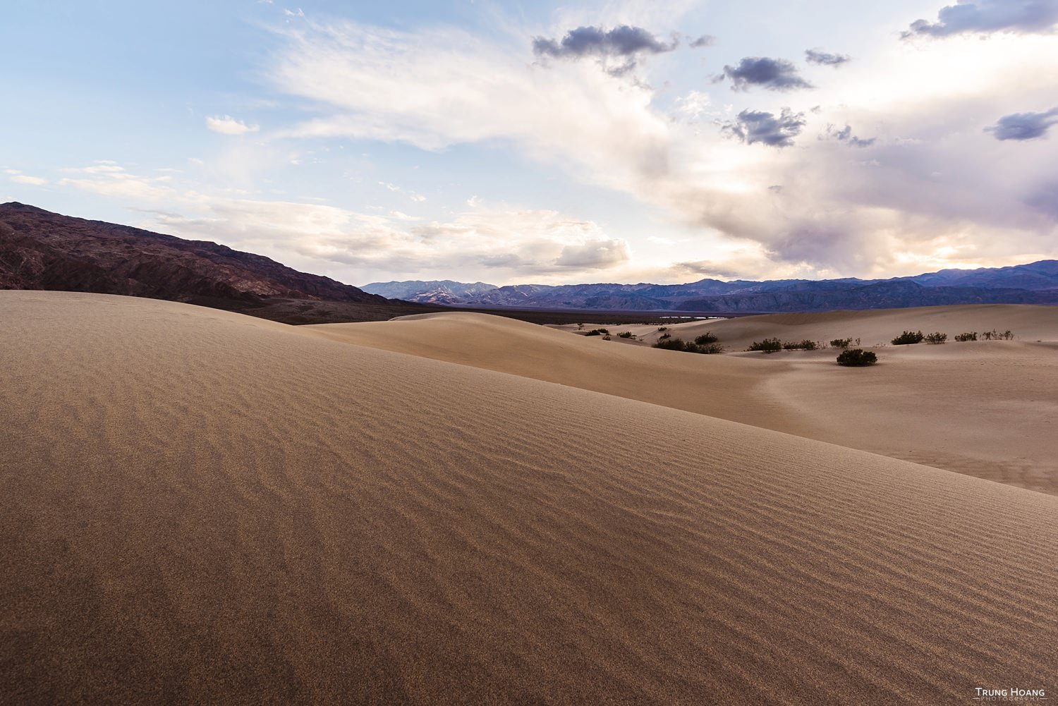 Photo by Trung Hoang Photography (www.trunghoangphotography.com)