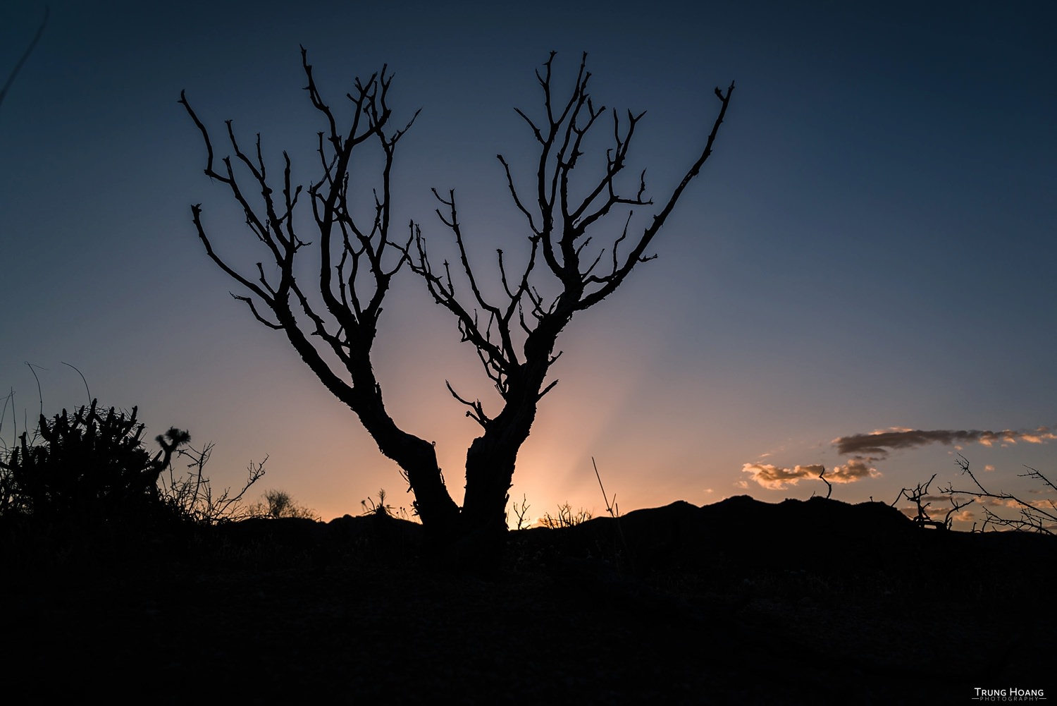 Photo by Trung Hoang Photography (www.trunghoangphotography.com)