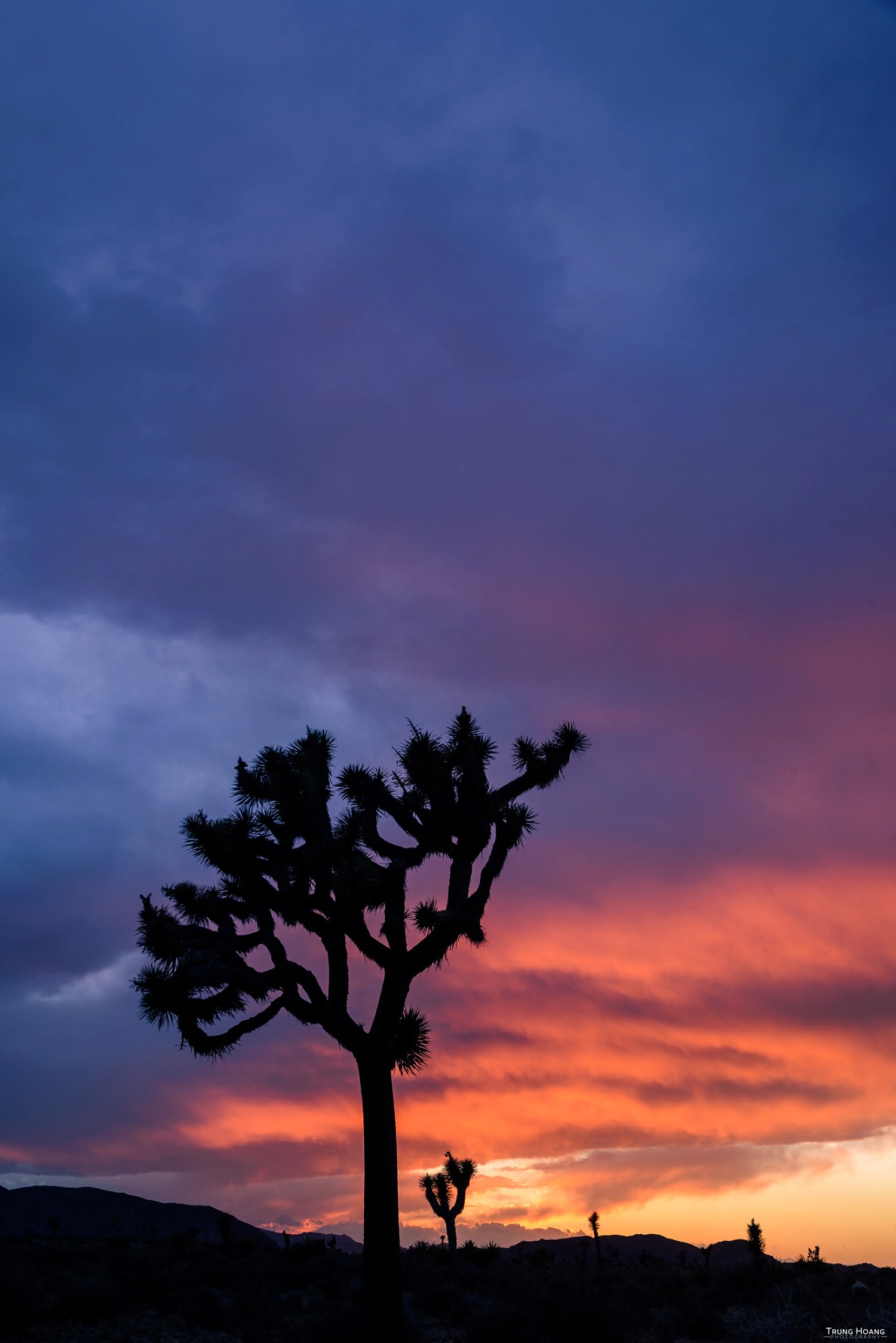 Photo by Trung Hoang Photography (www.trunghoangphotography.com)