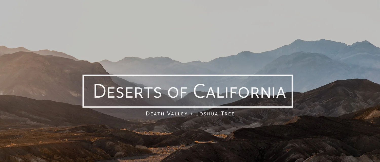 Personal Travel to the Southern California Deserts // Death Valley + Joshua Tree National Park // San Francisco Wedding Photographers