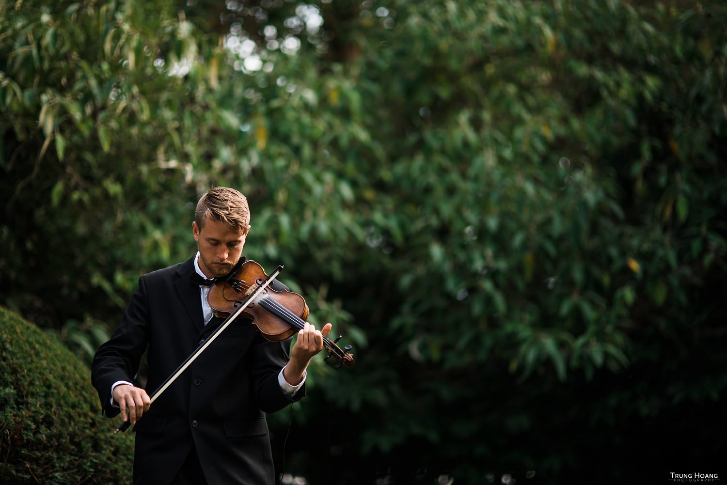 San Francisco Wedding Violinist