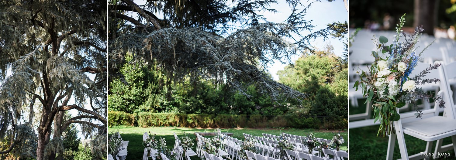 Shakespeare Garden in Golden Gate Park Wedding