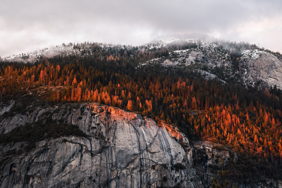  Photo by Trung Hoang Photography (www.trunghoangphotography.com) 