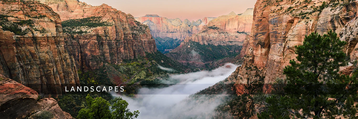 Landscapes