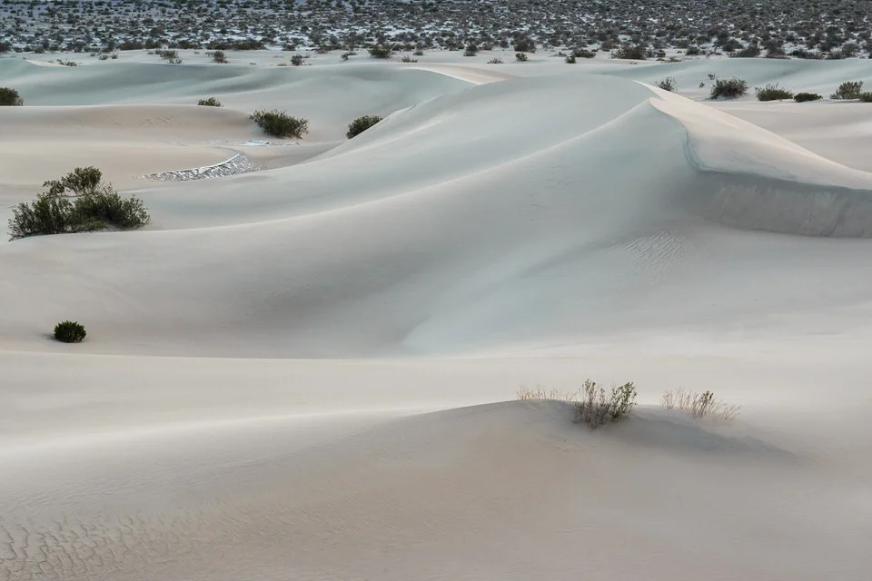 The Mesquite Sand Dunes