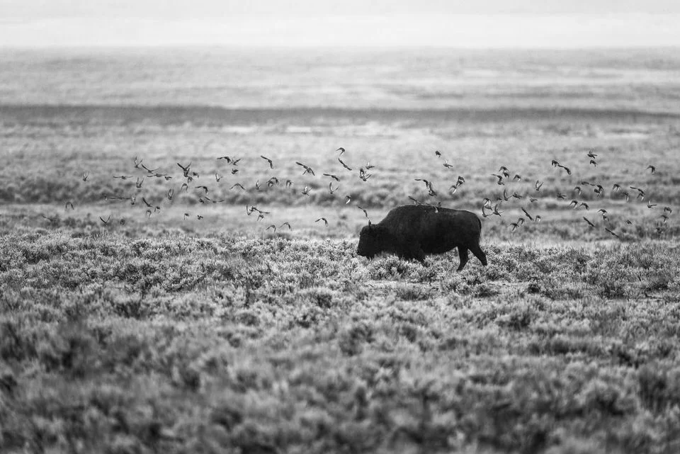  Photo by Trung Hoang Photography (www.trunghoangphotography.com) 