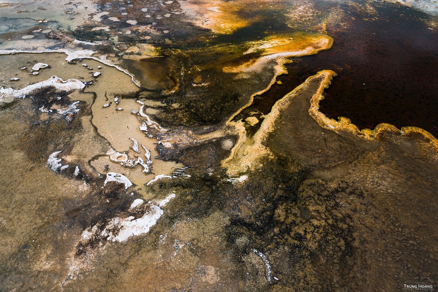 Thermophilic Bacteria of Yellowstone